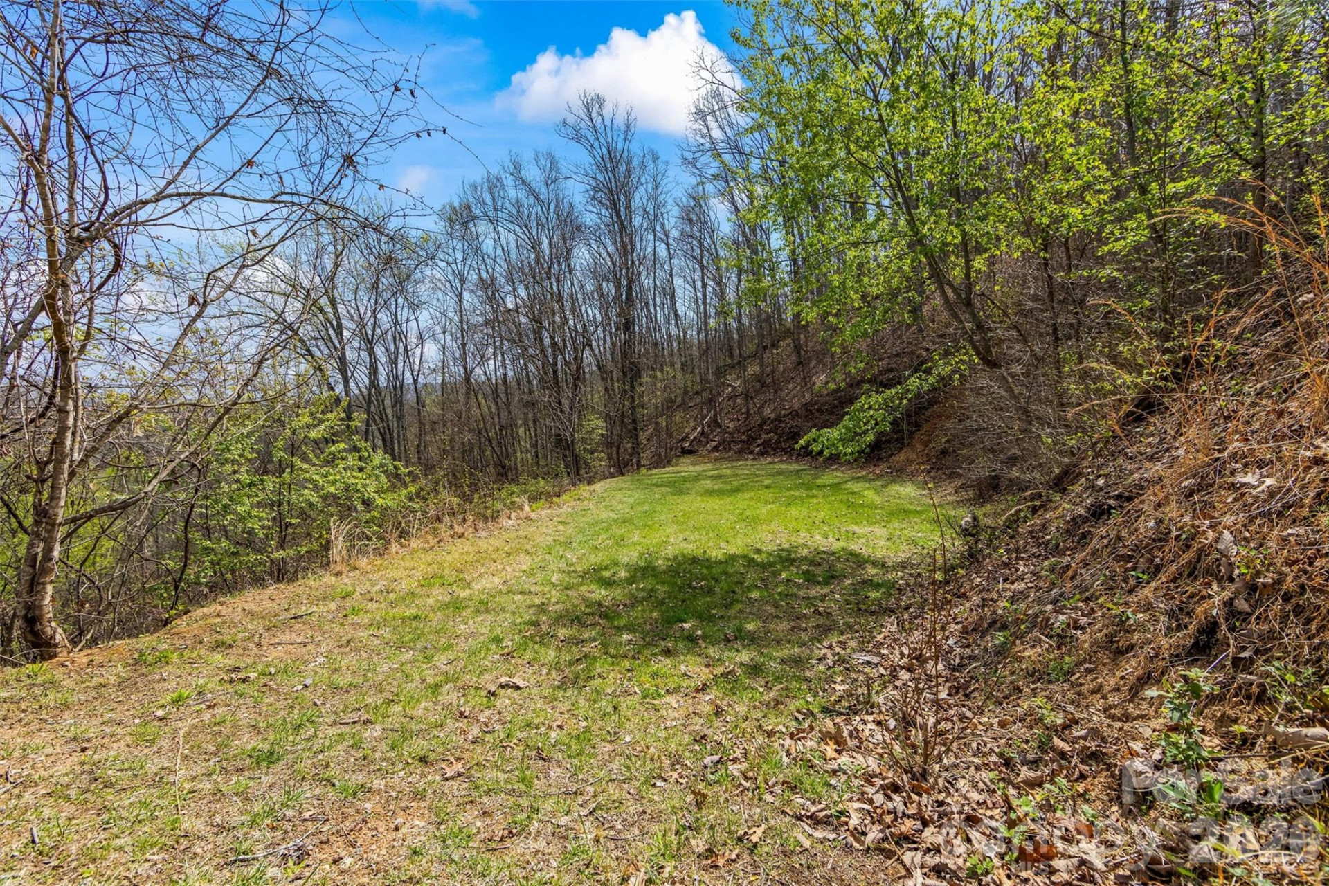 1299 Black Forest Drive - Photo 43