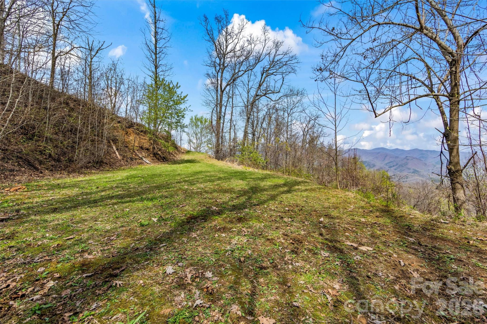 1299 Black Forest Drive - Photo 44