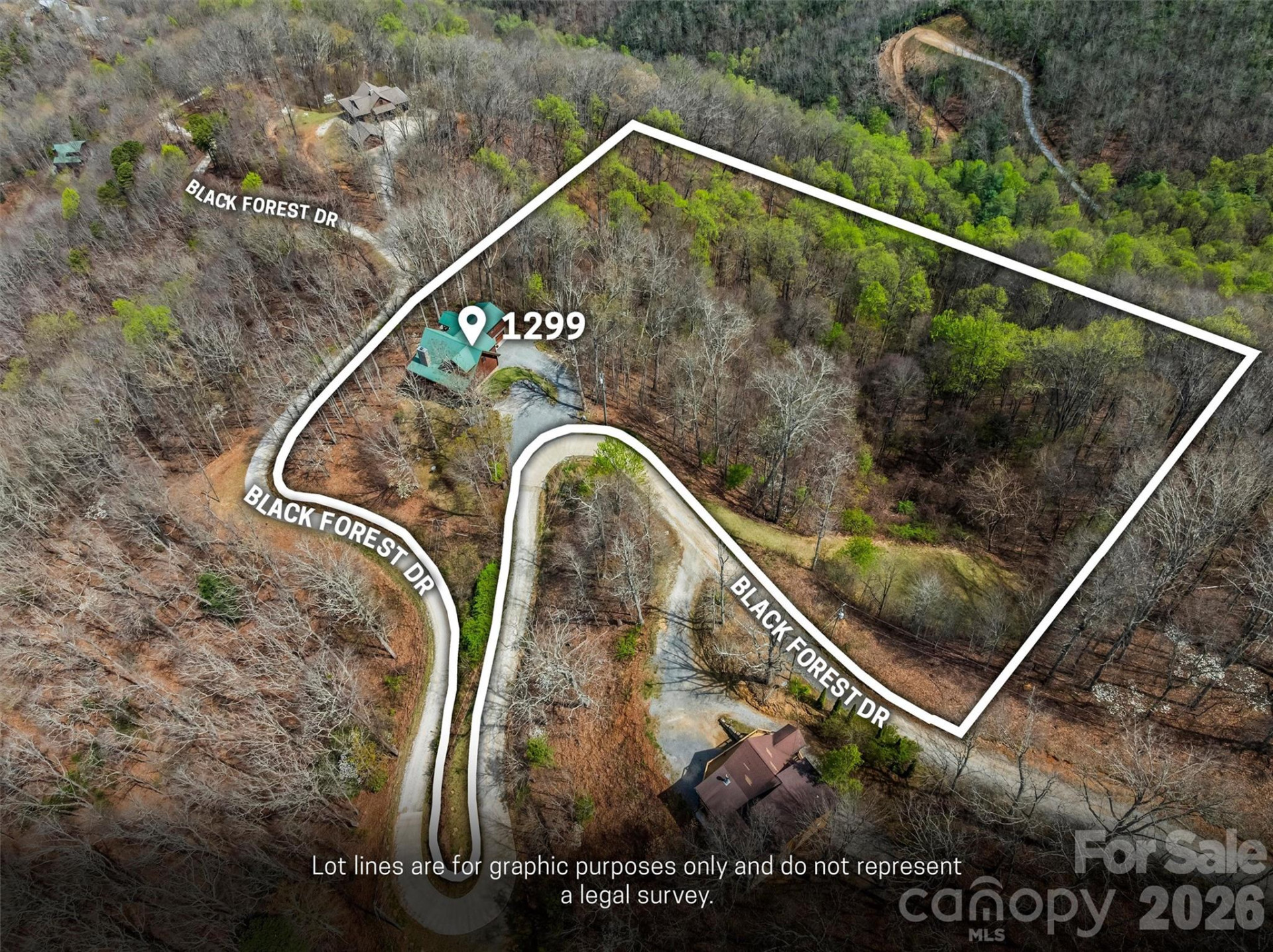 1299 Black Forest Drive - Photo 46