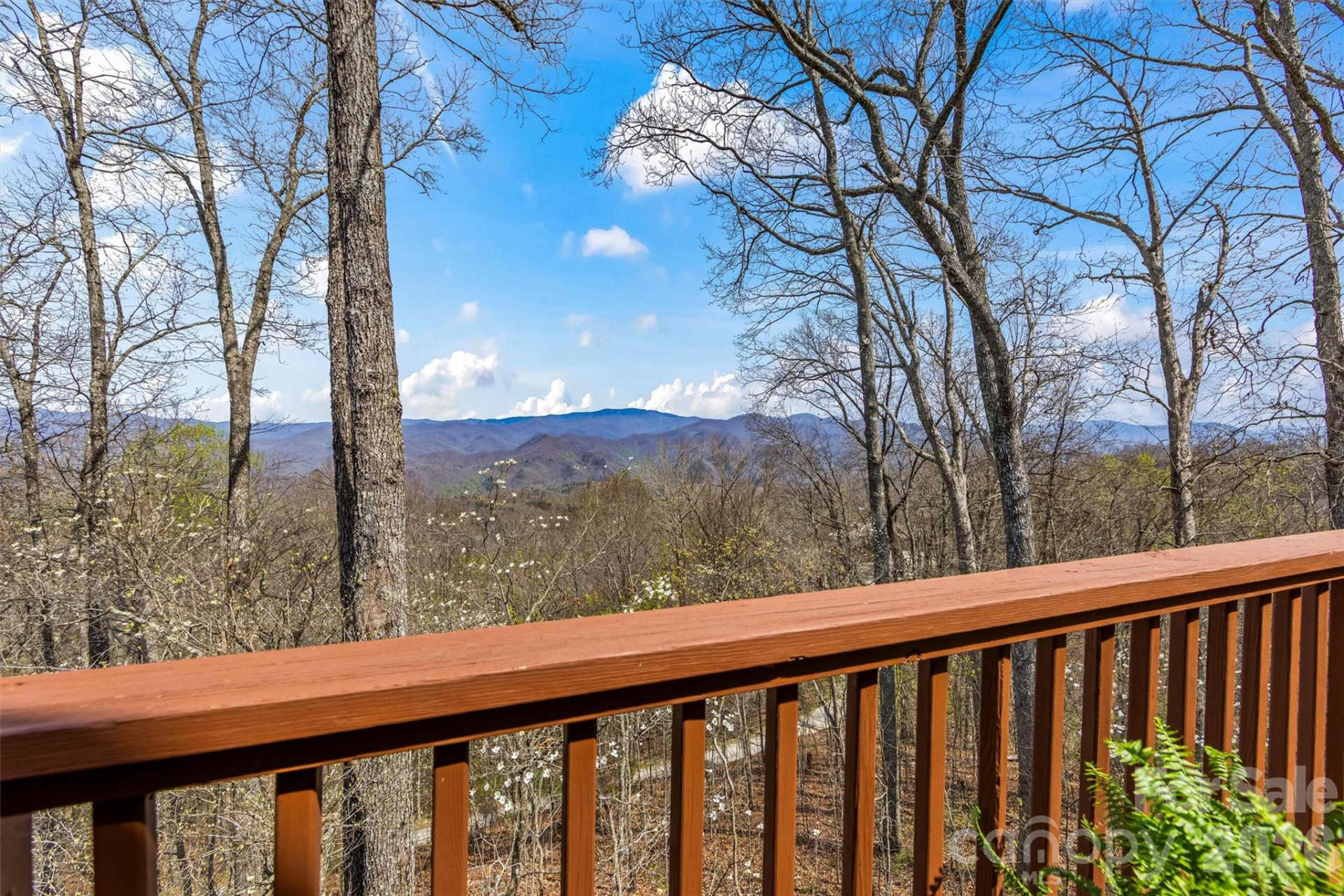 1299 Black Forest Drive - Photo 7