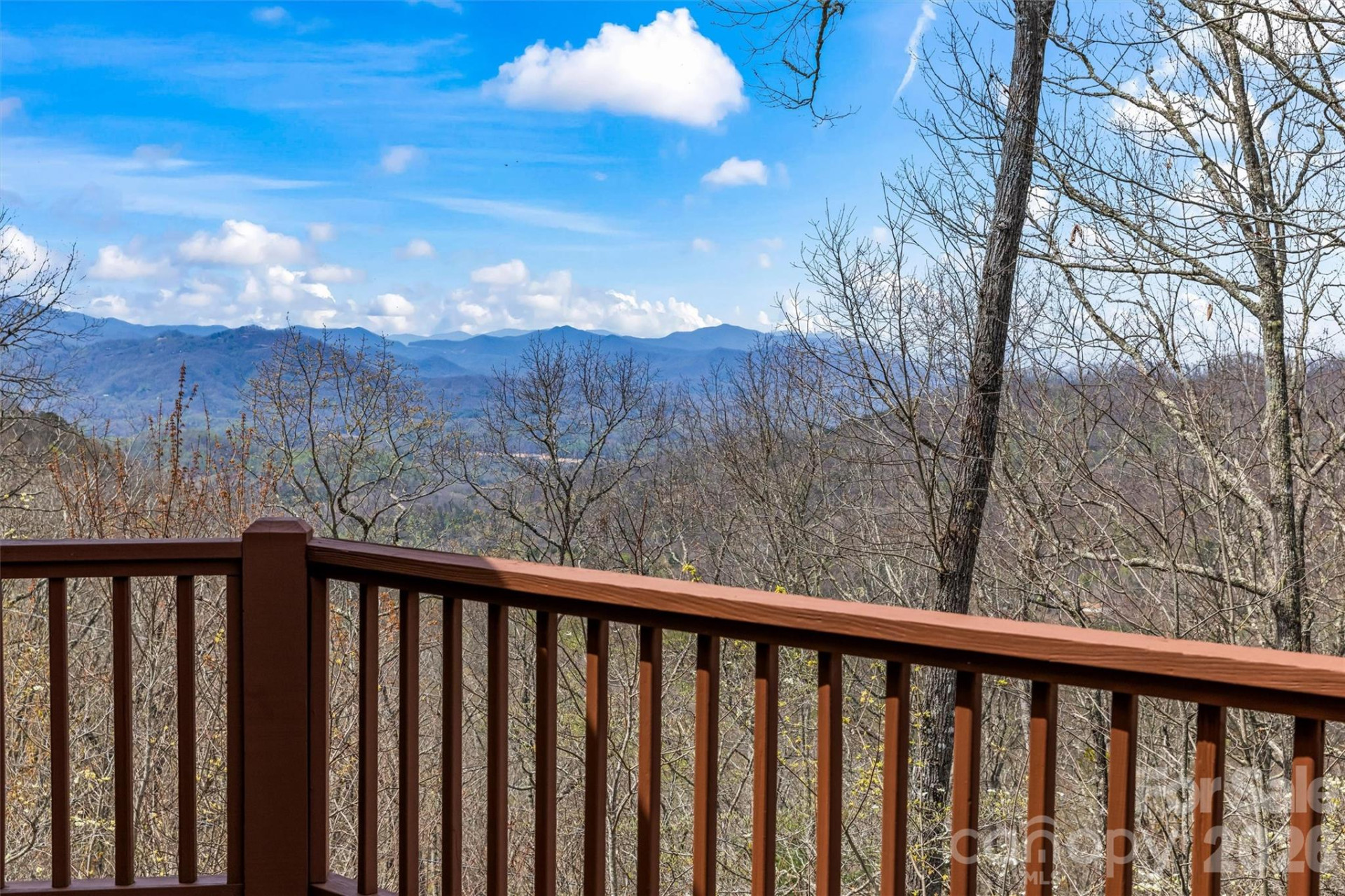 1299 Black Forest Drive - Photo 8