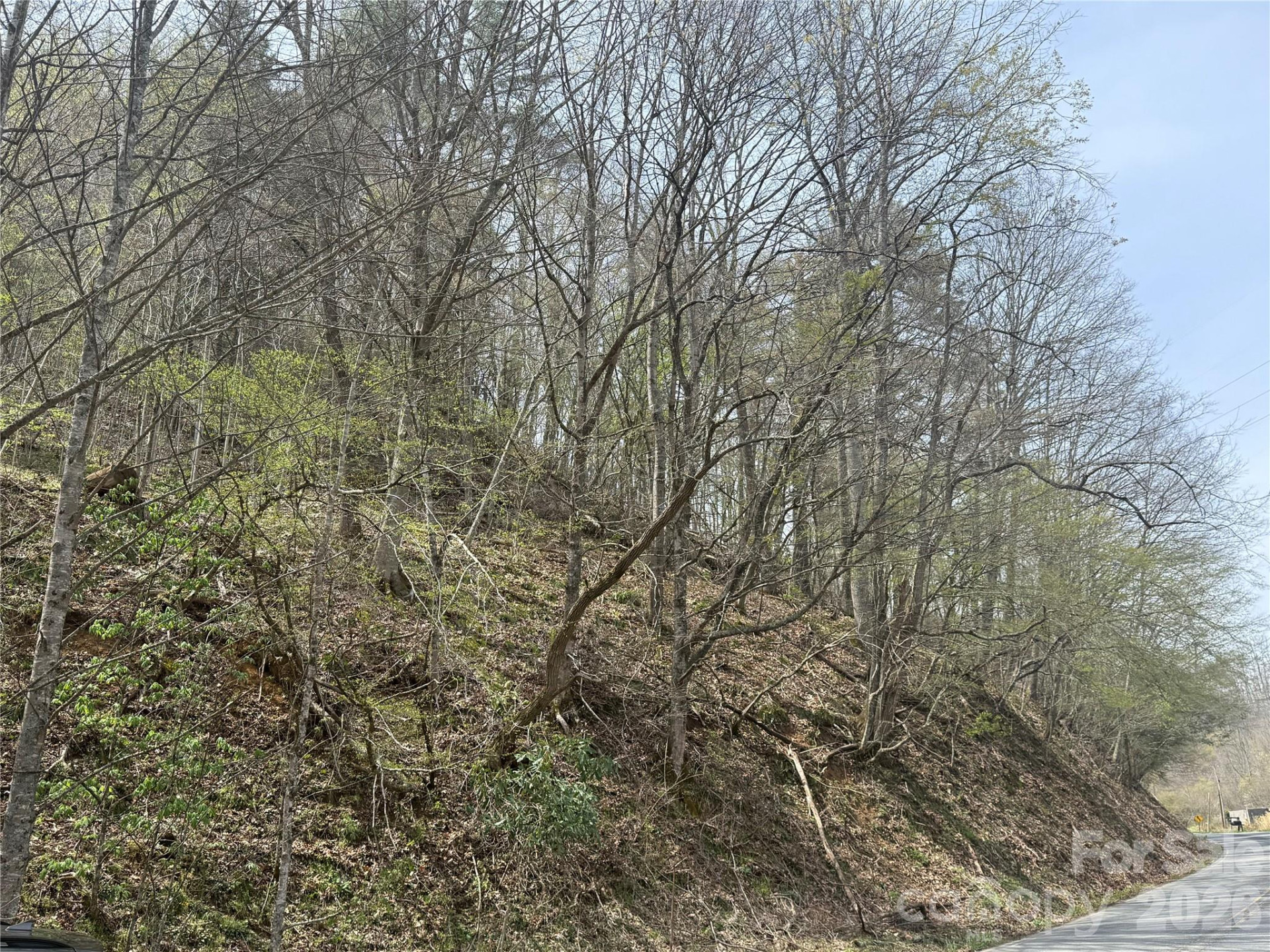 0 HORTONS CREEK Road - Photo 2