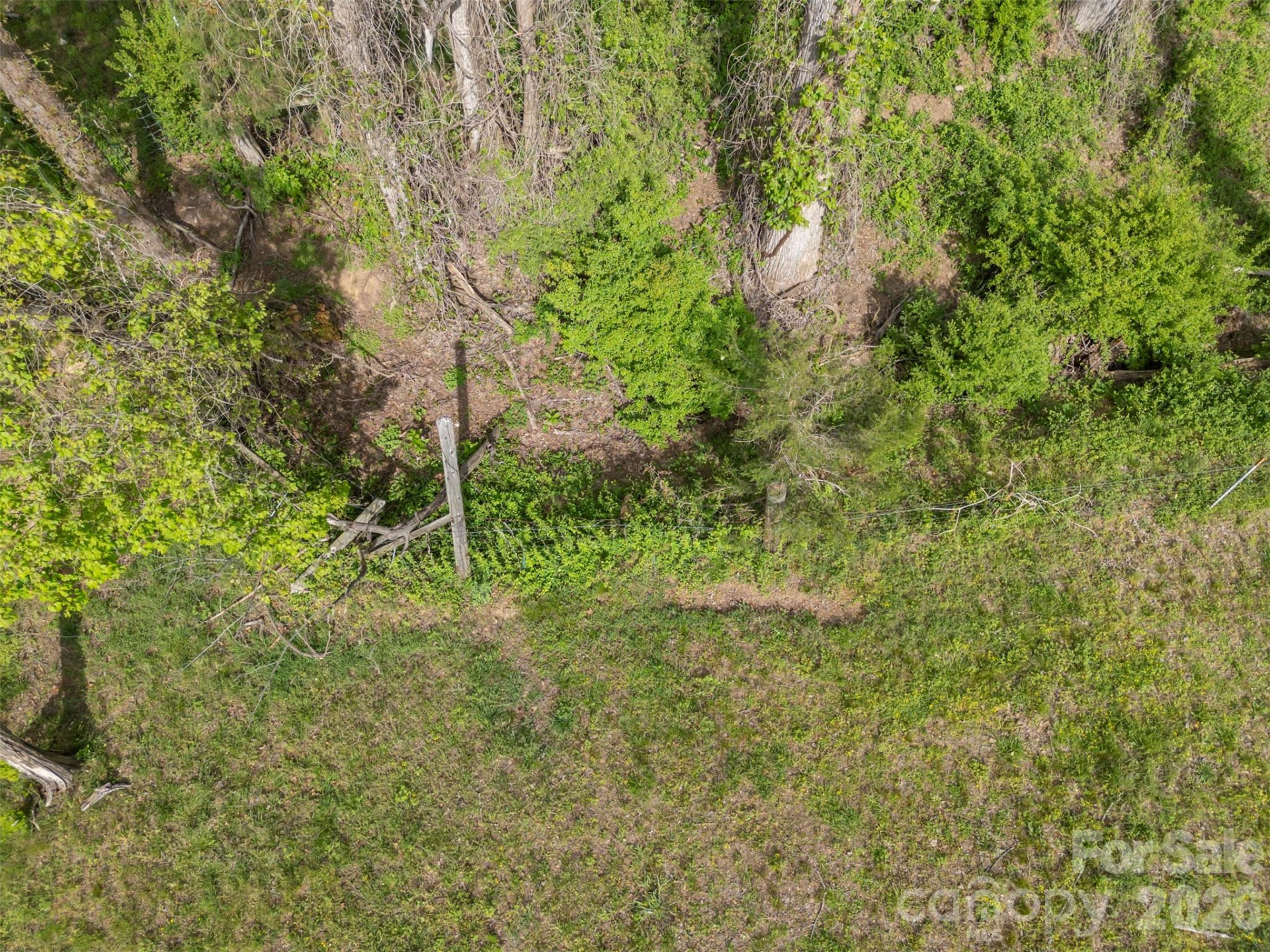 504 Old Henrietta Road - Photo 12