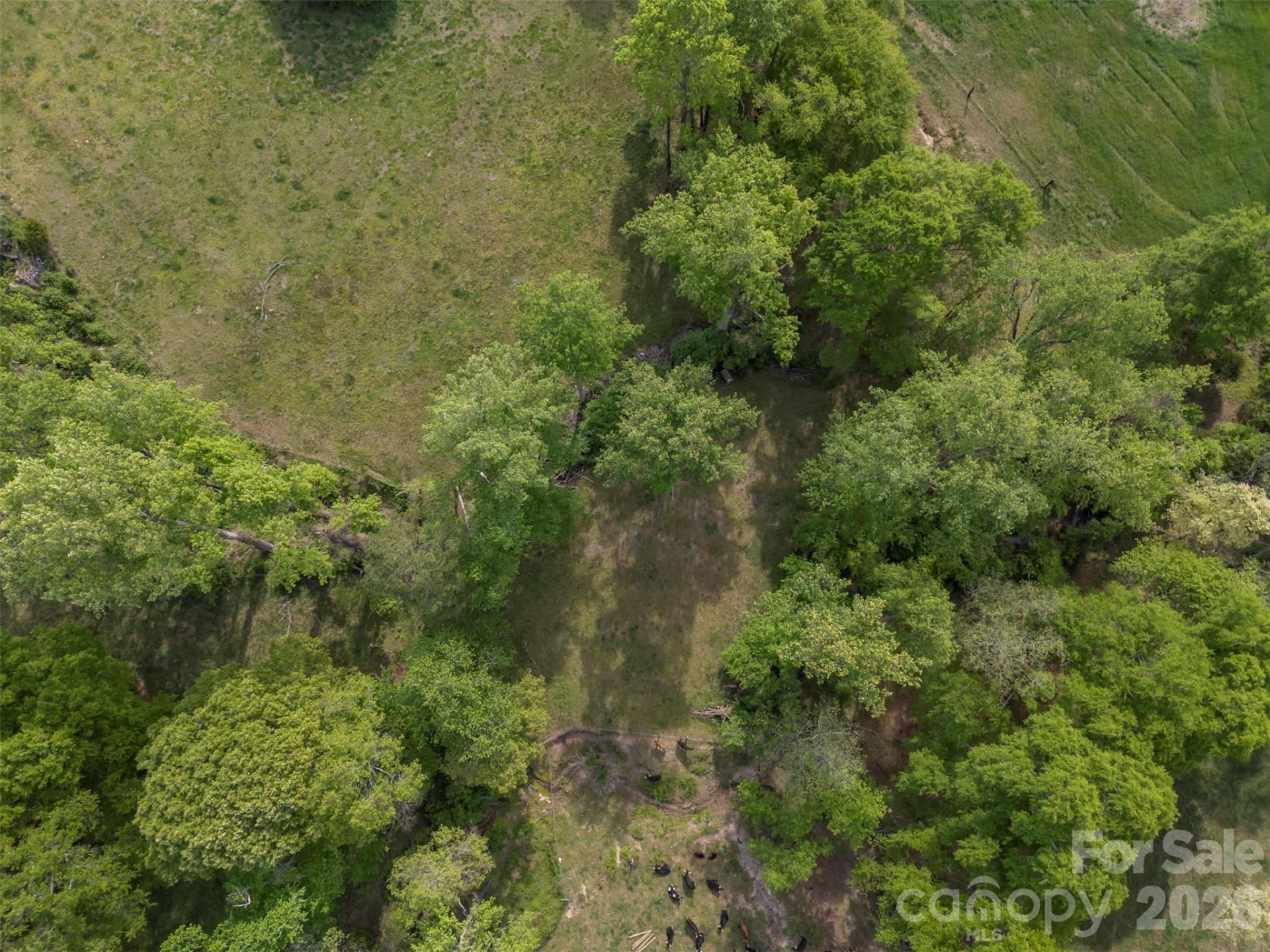 504 Old Henrietta Road - Photo 16