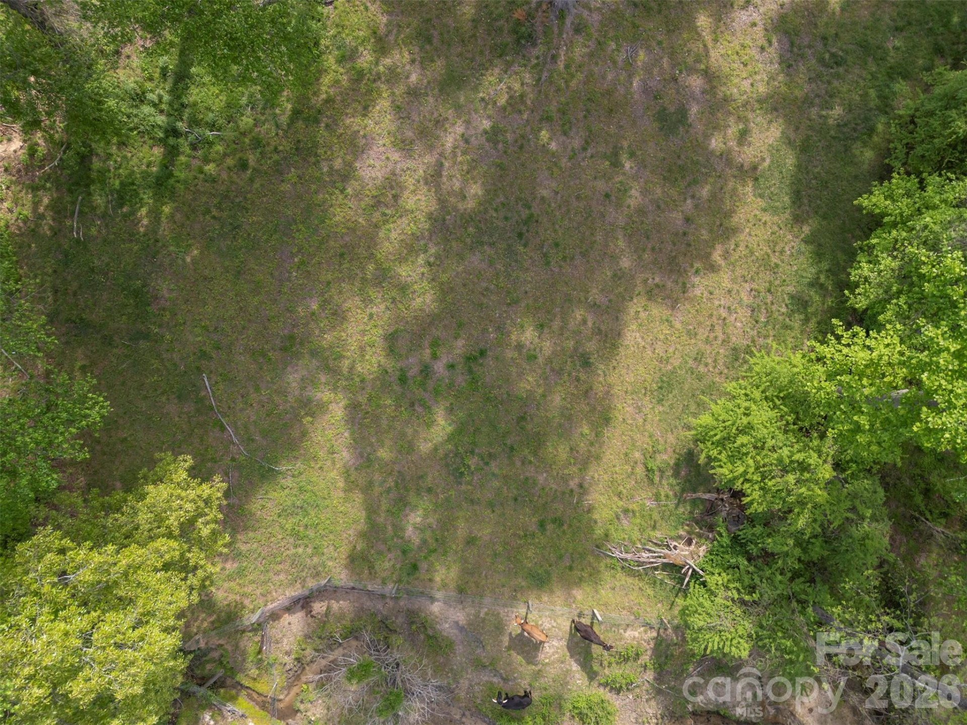 504 Old Henrietta Road - Photo 17