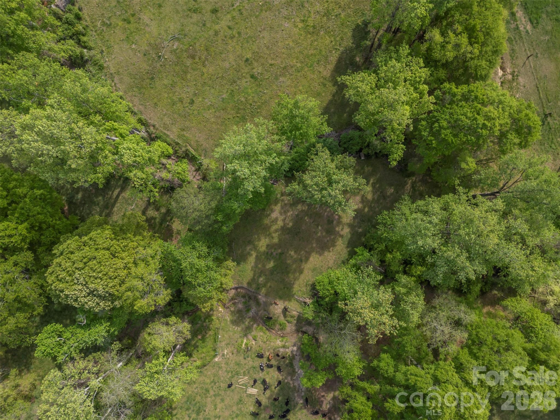 504 Old Henrietta Road - Photo 18