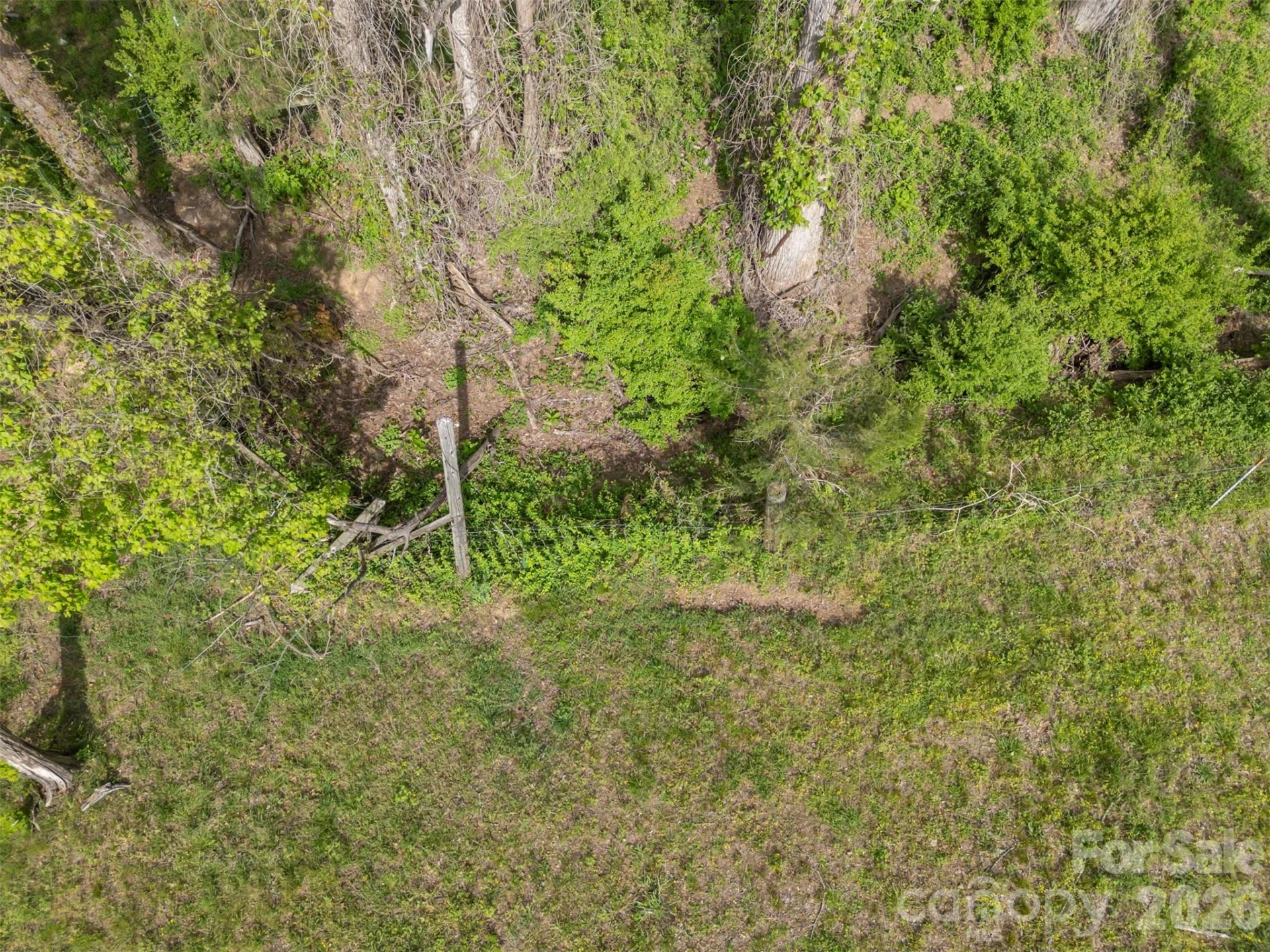 504 Old Henrietta Road - Photo 9