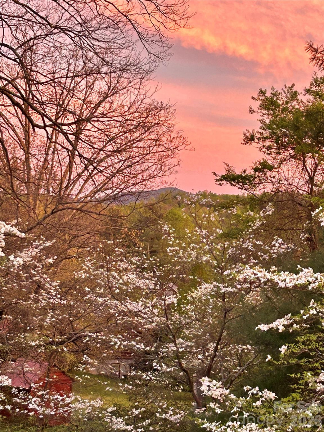 367 Crescent Street - Photo 33