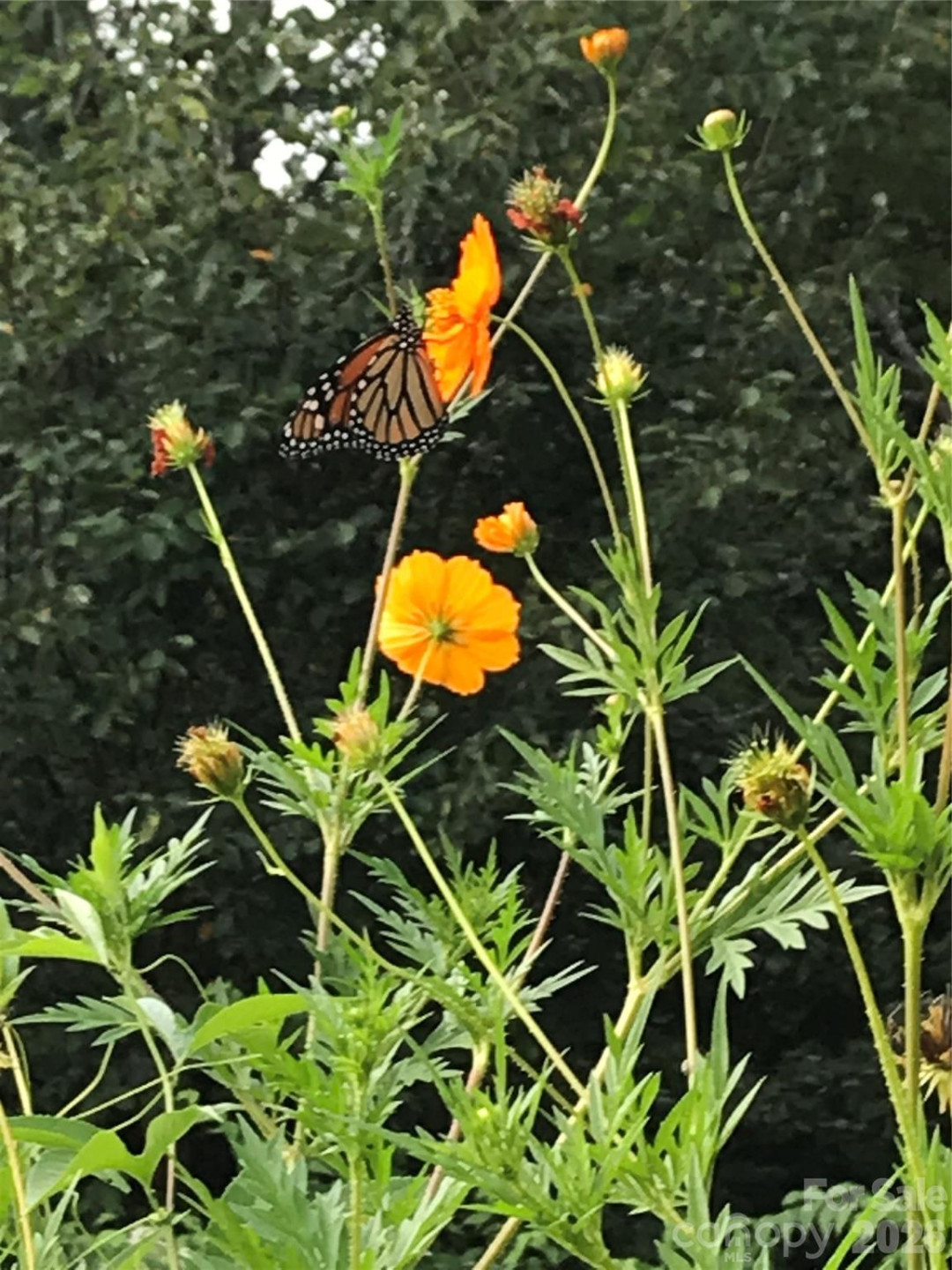 367 Crescent Street - Photo 35