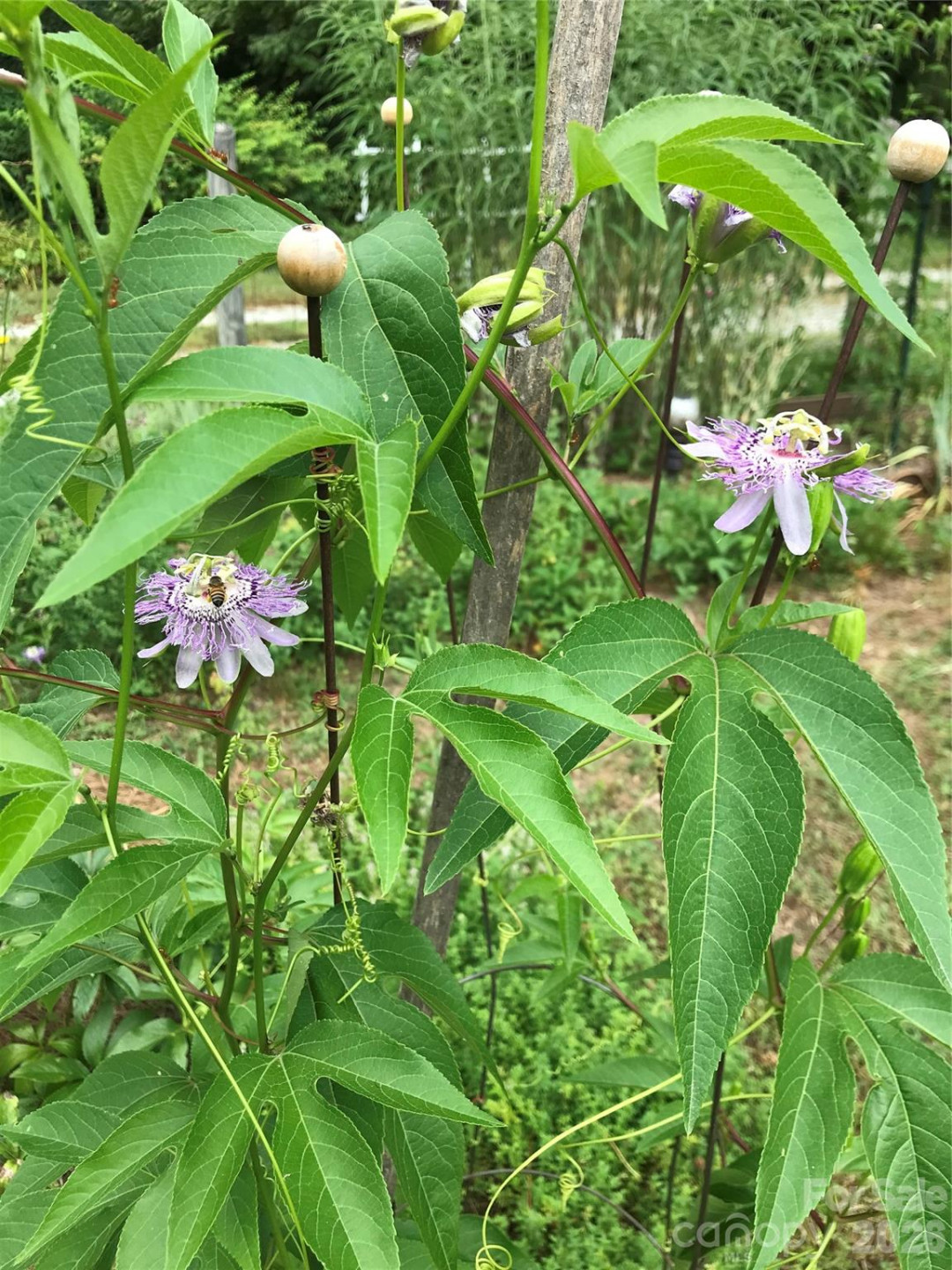 367 Crescent Street - Photo 36