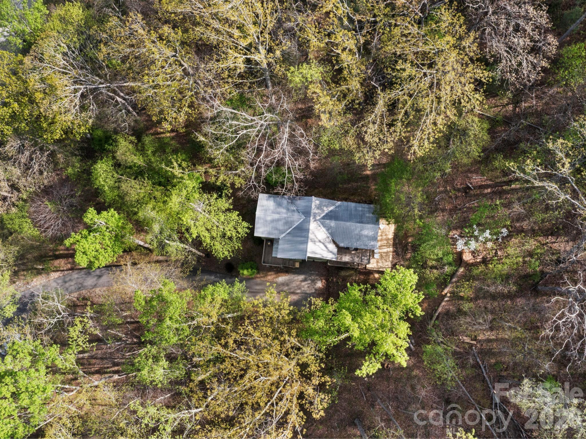 291 Webb Cove Road - Photo 31