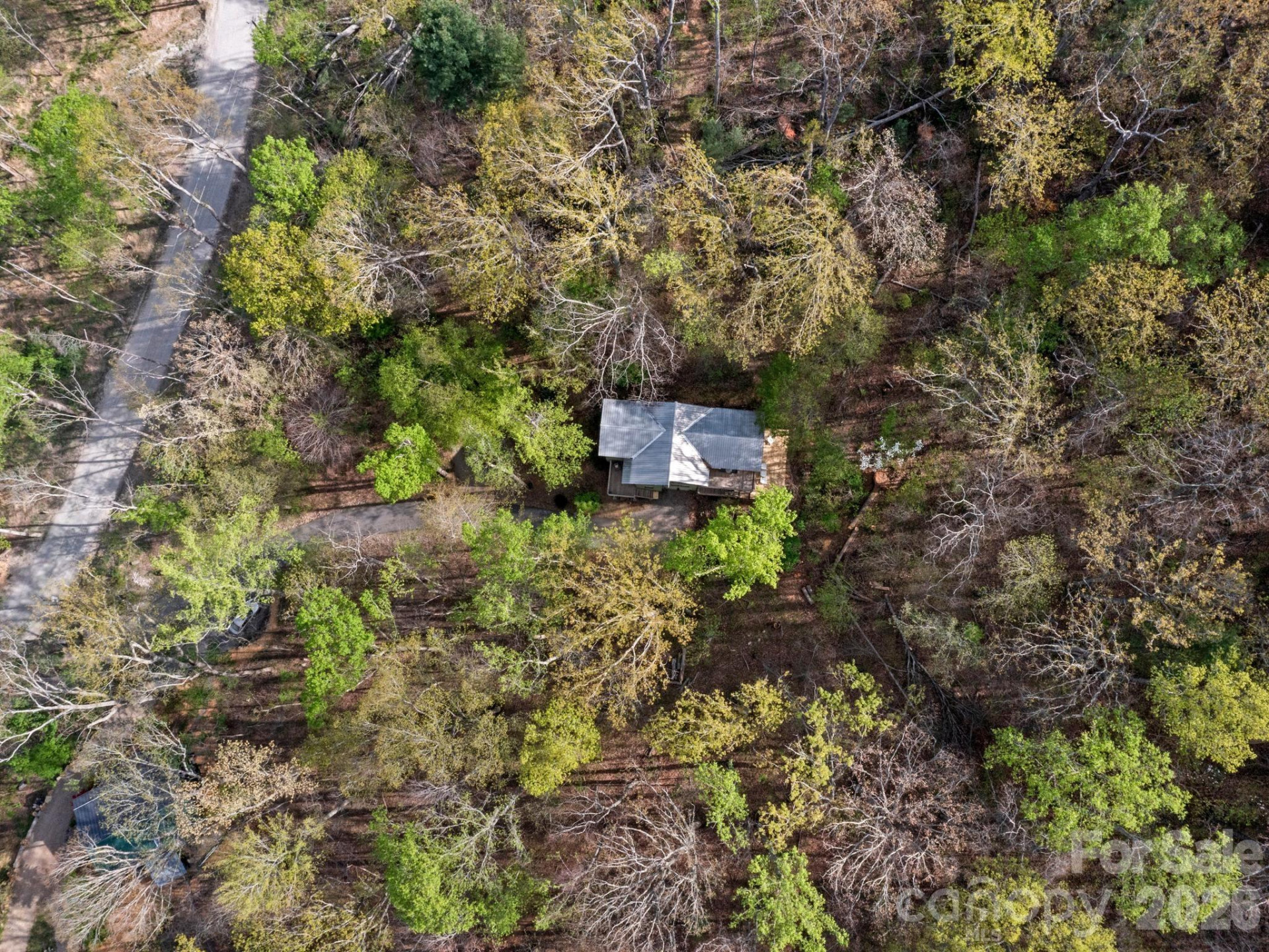 291 Webb Cove Road - Photo 33