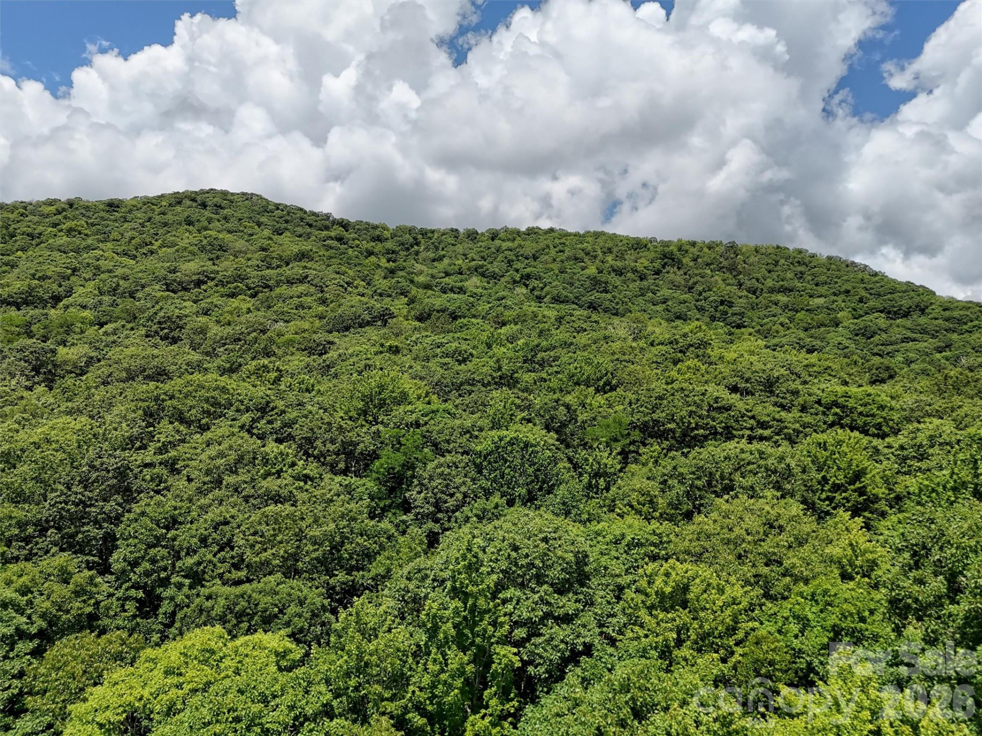 Lot #67 Spring Drive - Photo 12