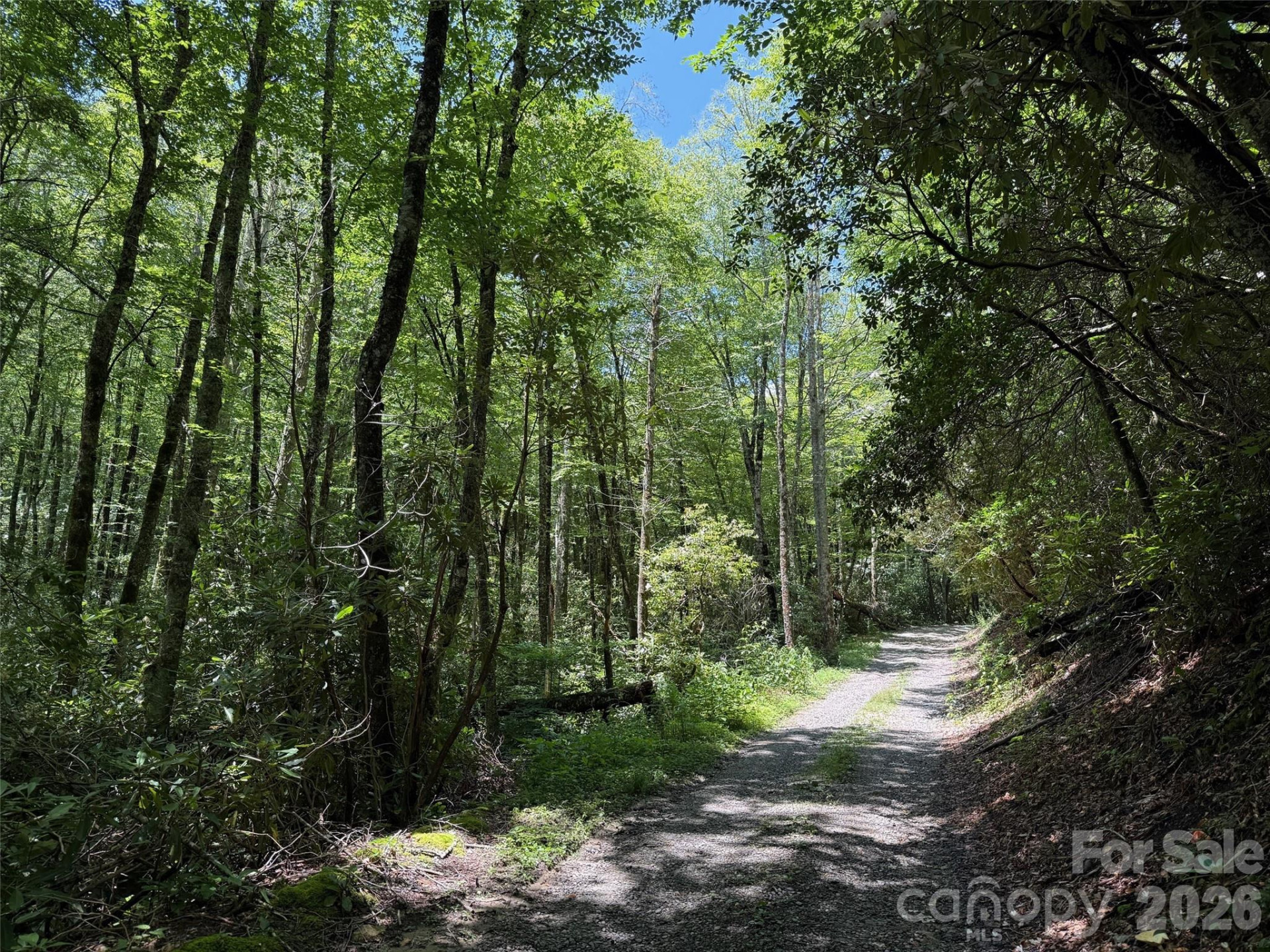 Lot #67 Spring Drive - Photo 4