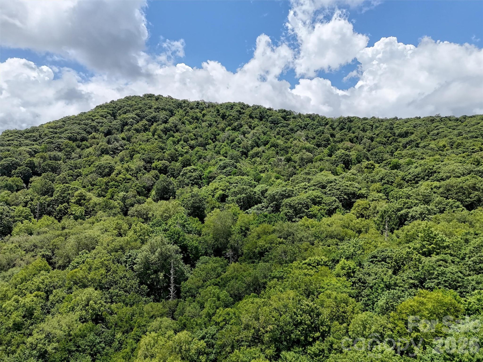 Lot #67 Spring Drive - Photo 5