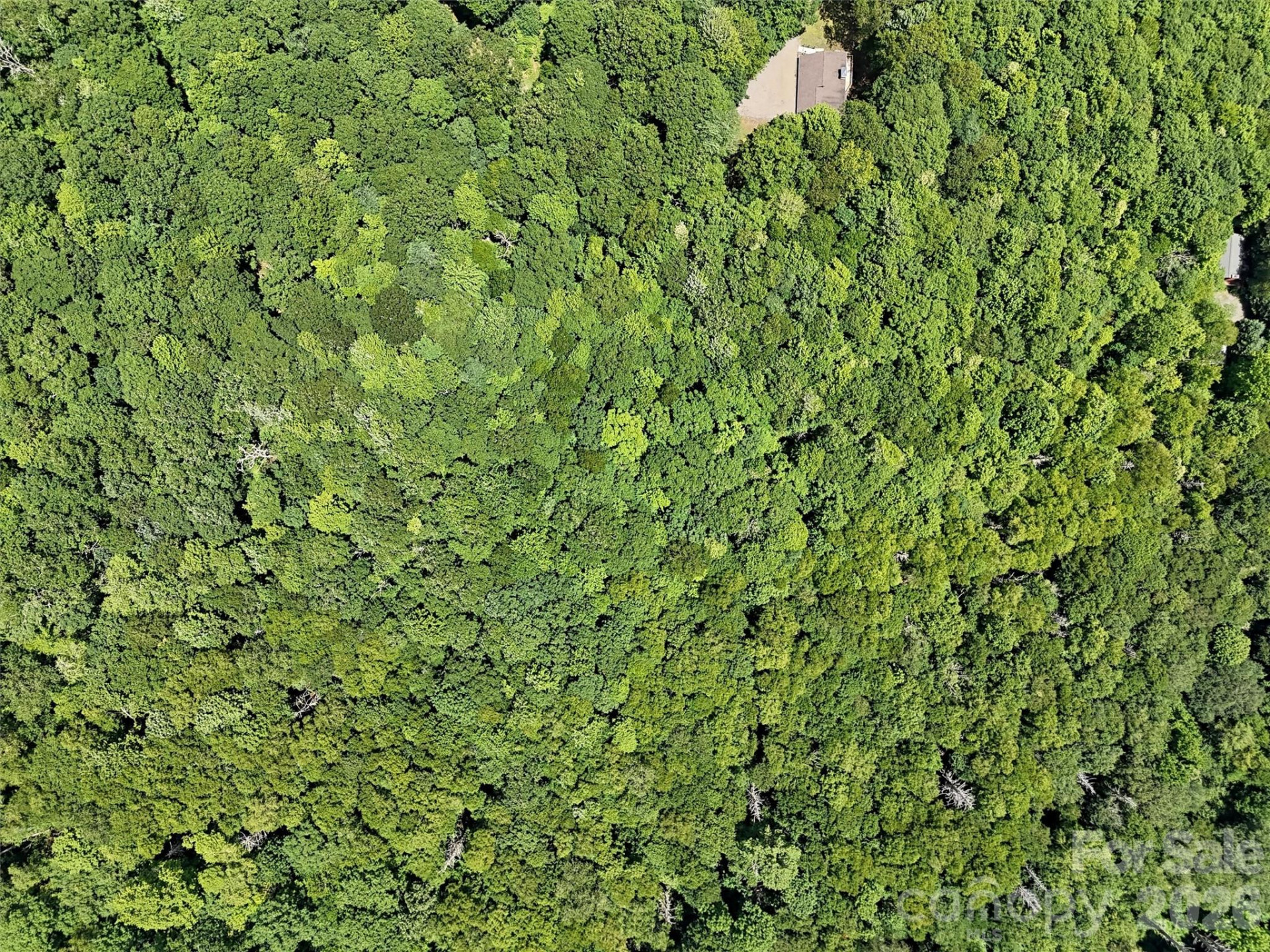 Lot #67 Spring Drive - Photo 6