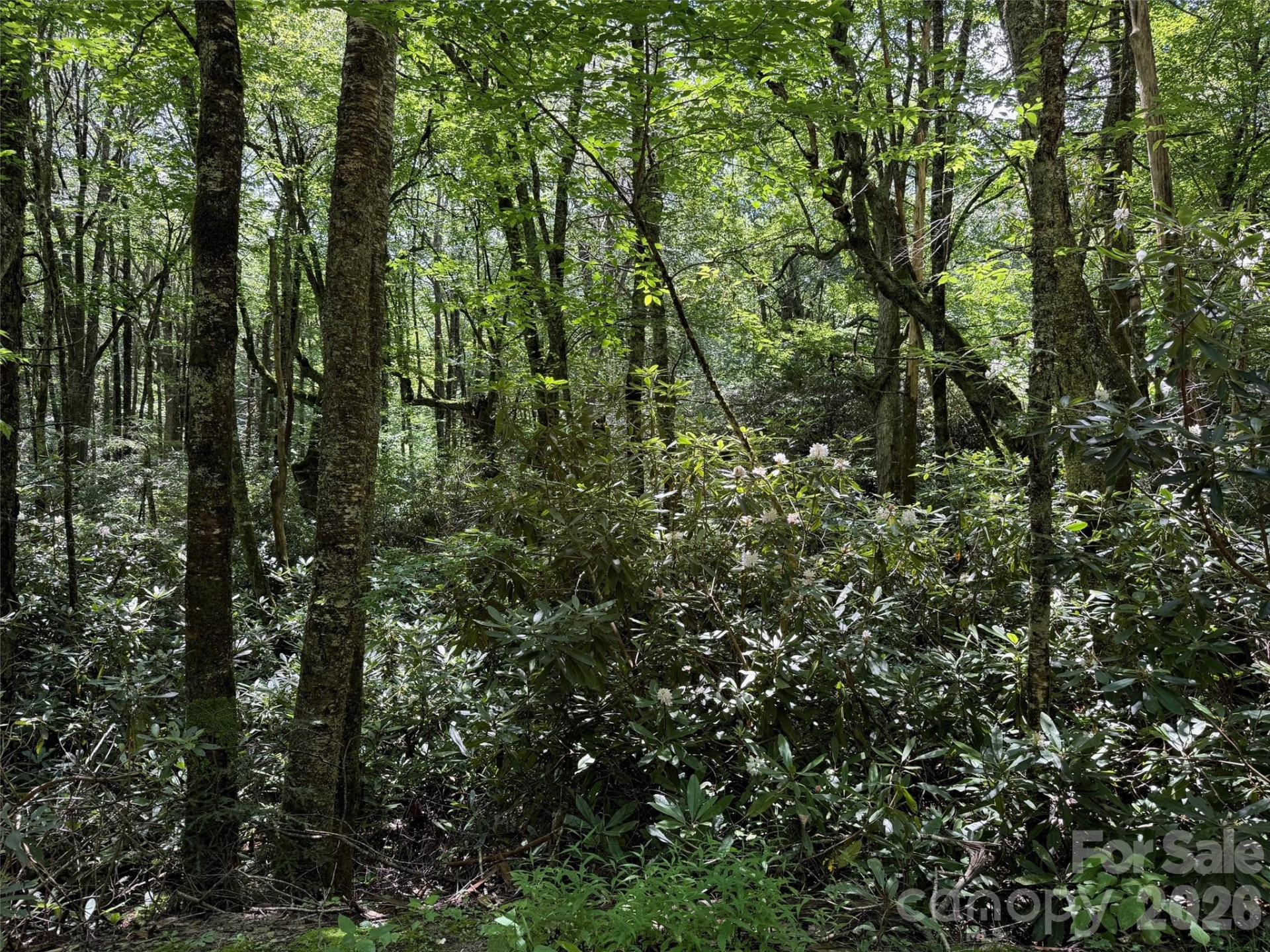 Lot #67 Spring Drive - Photo 7