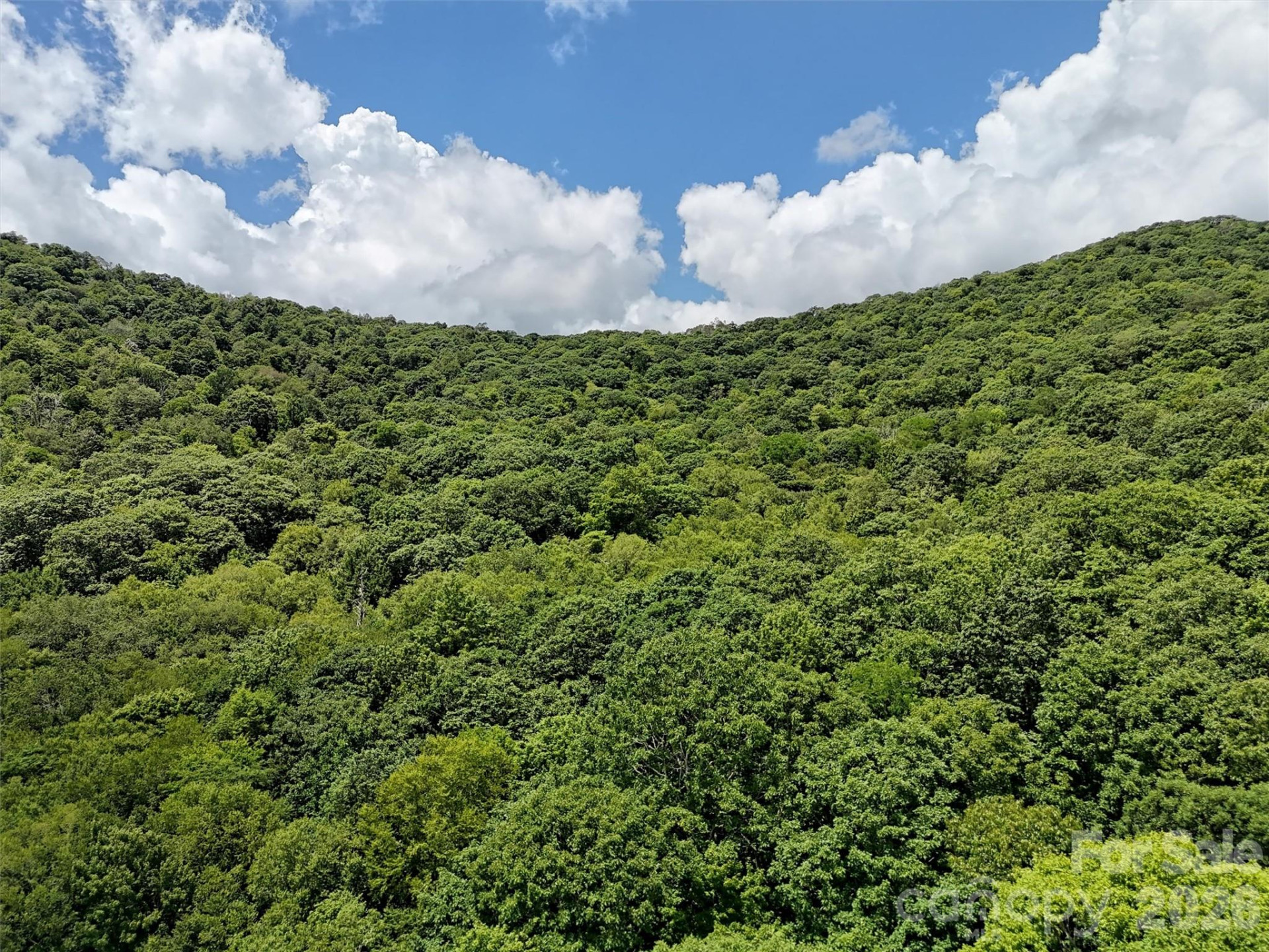 Lot #67 Spring Drive - Photo 8