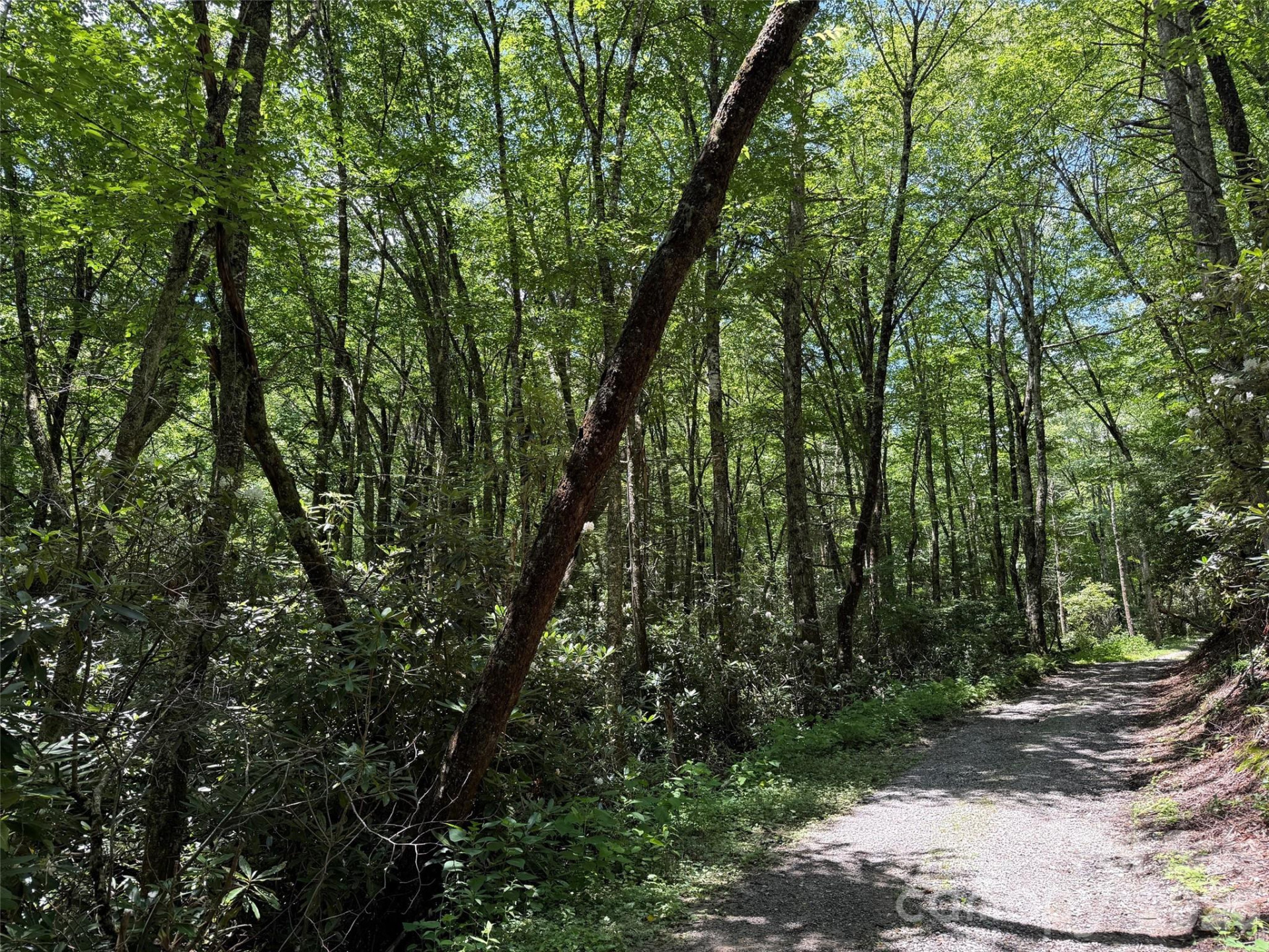 Lot #67 Spring Drive - Photo 9