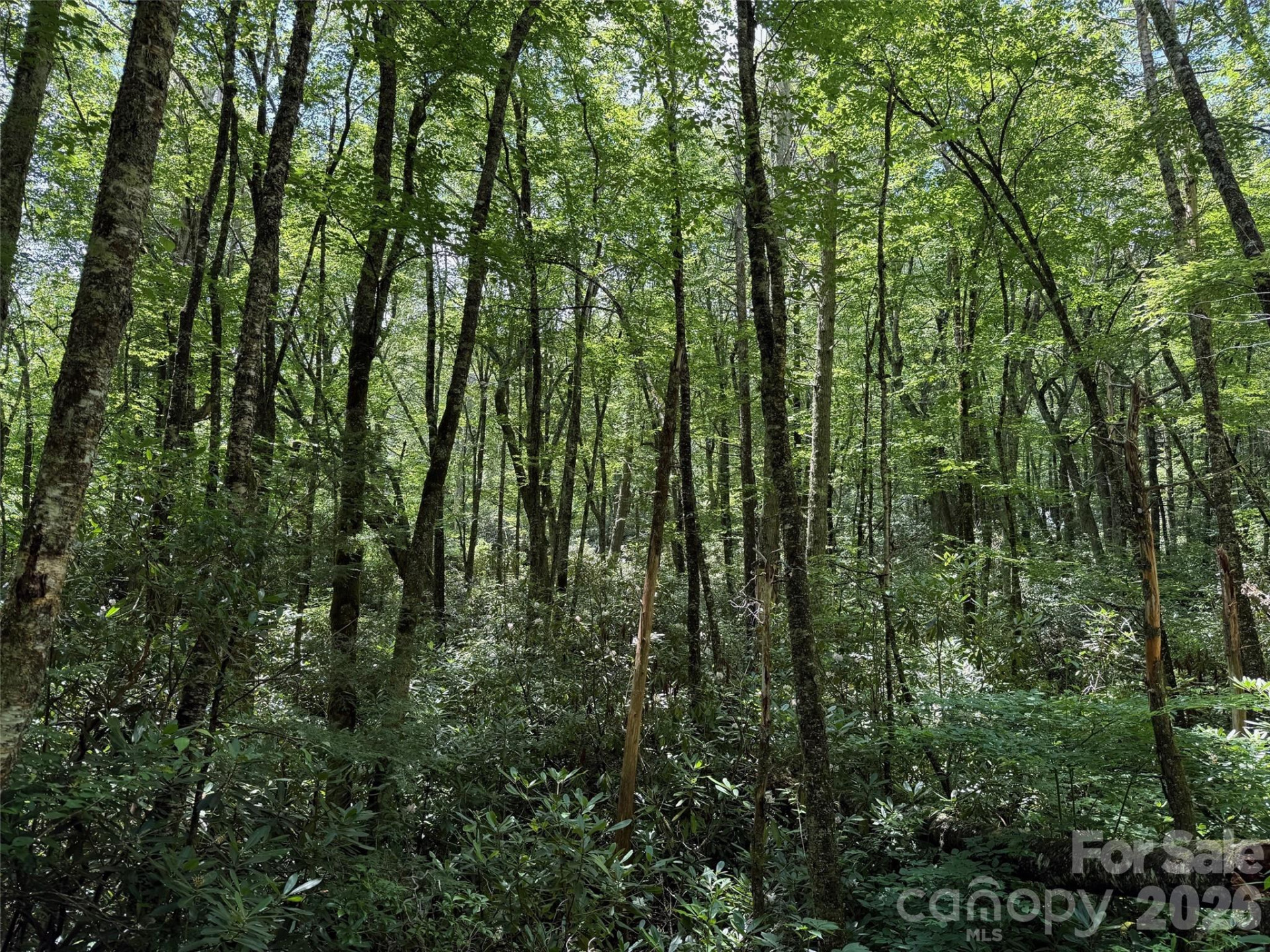 Lot #67 Spring Drive - Photo 10