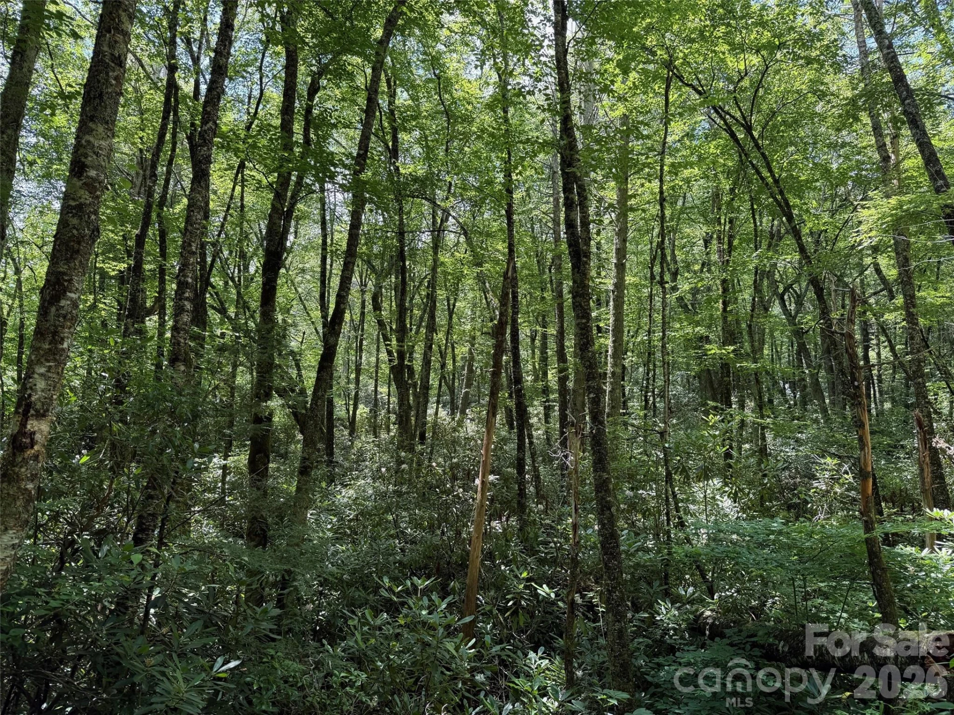 Lot #67 Spring Drive - Photo 10
