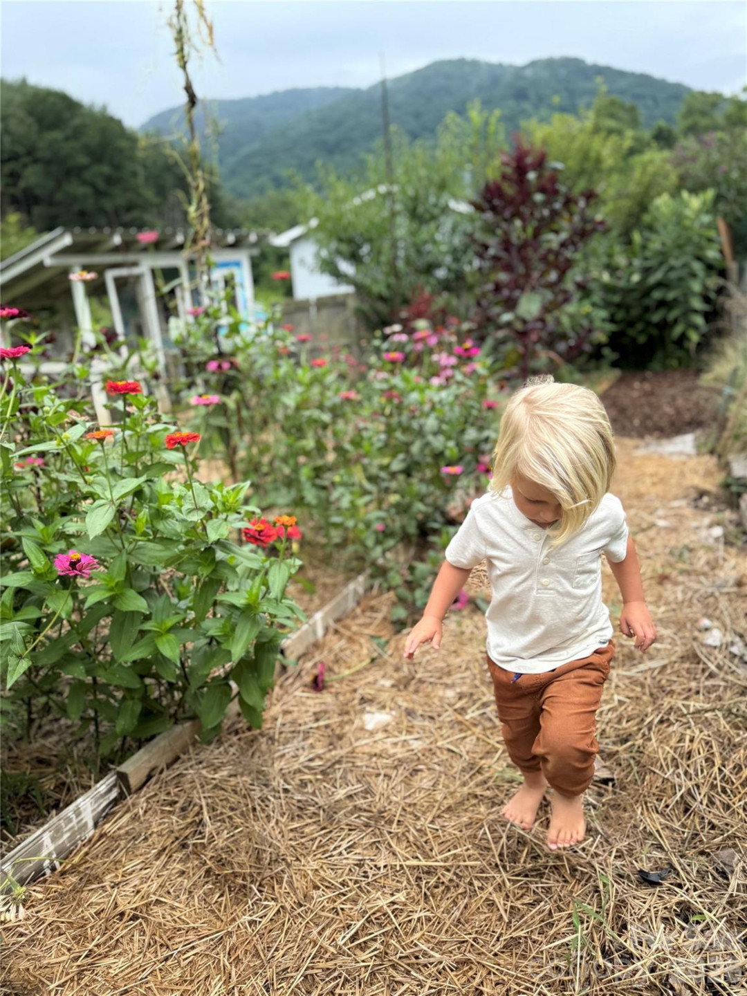 17 Fireside Drive - Photo 8