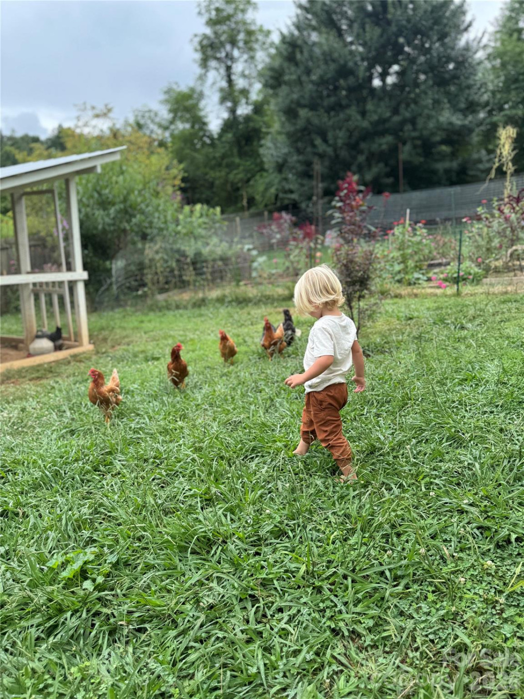 17 Fireside Drive - Photo 9