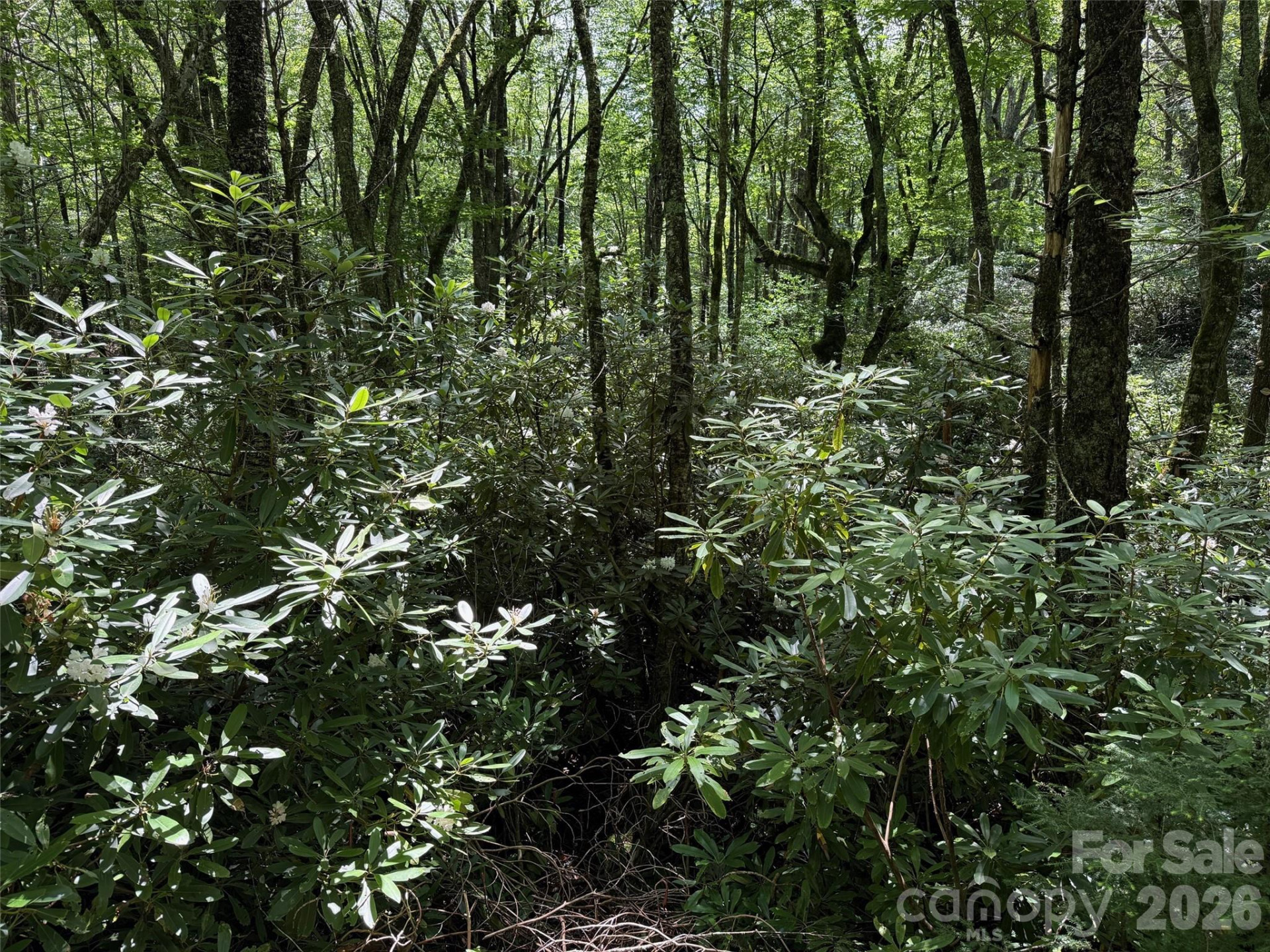 Lot #60 Yonder Trail - Photo 11