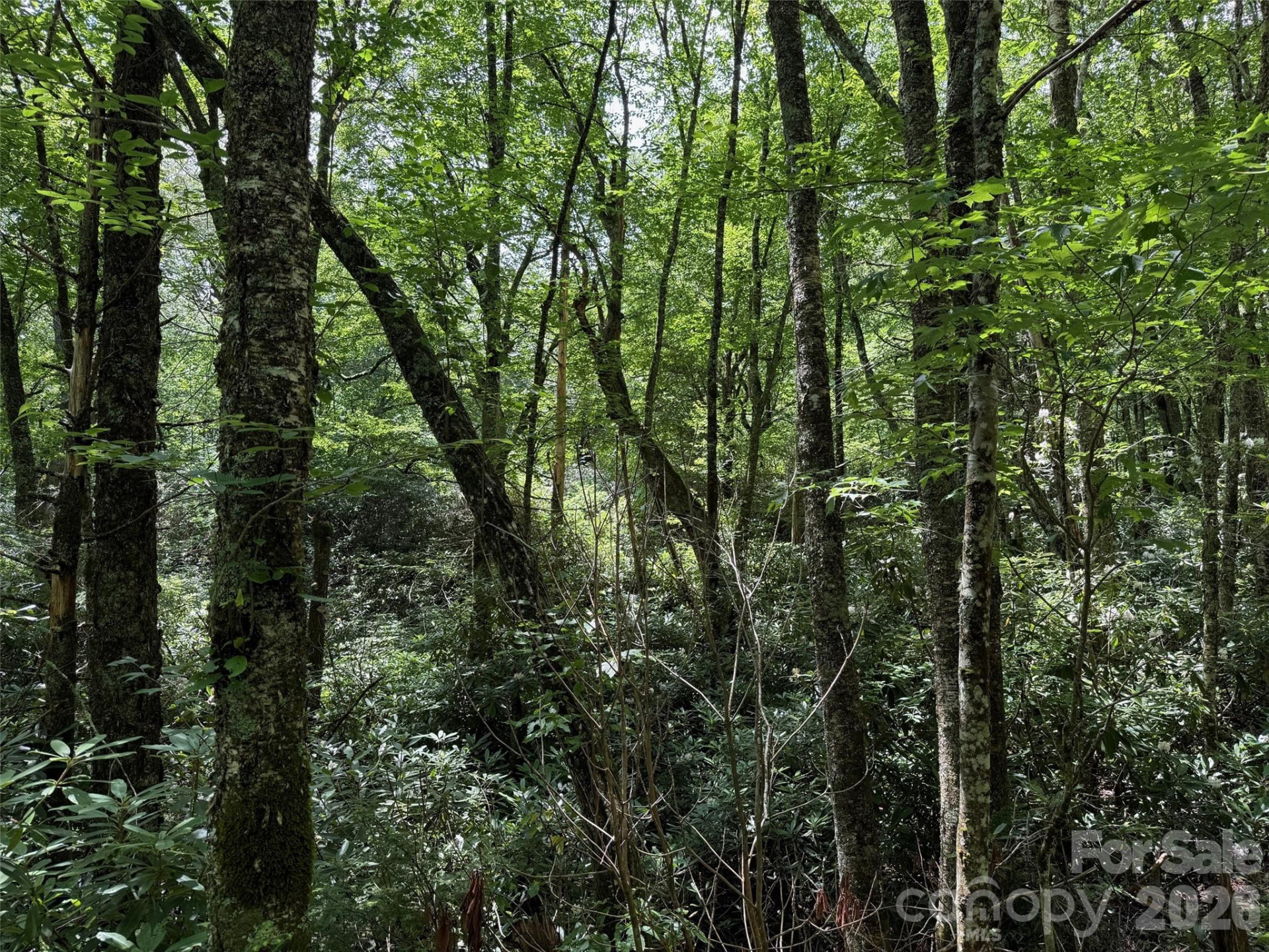 Lot #60 Yonder Trail - Photo 12