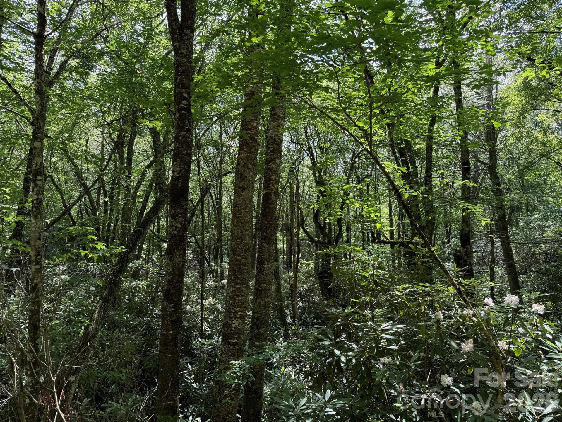 Lot #60 Yonder Trail - Photo 13