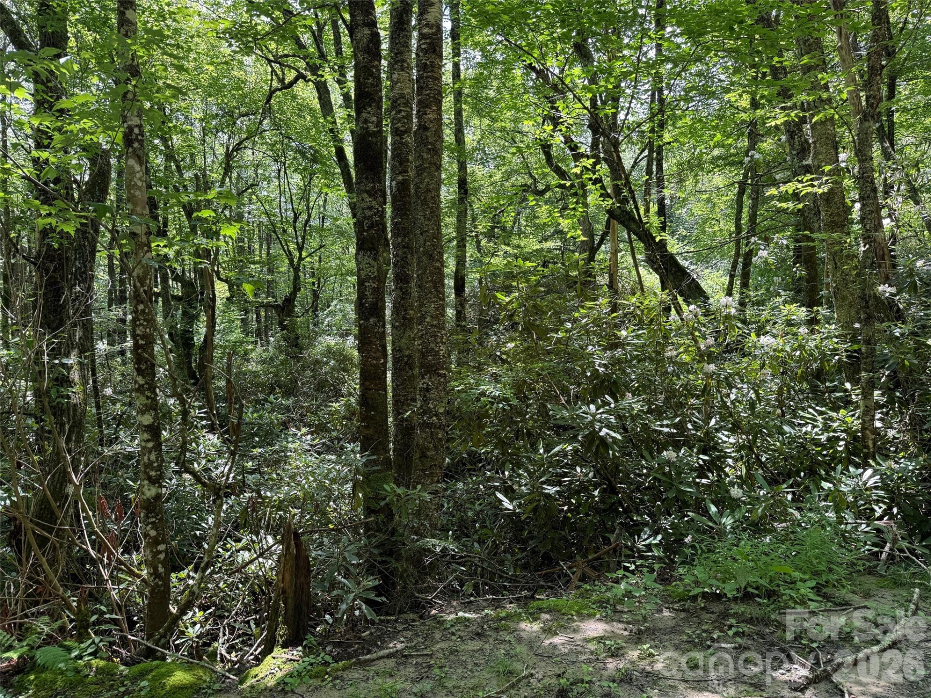 Lot #60 Yonder Trail - Photo 14