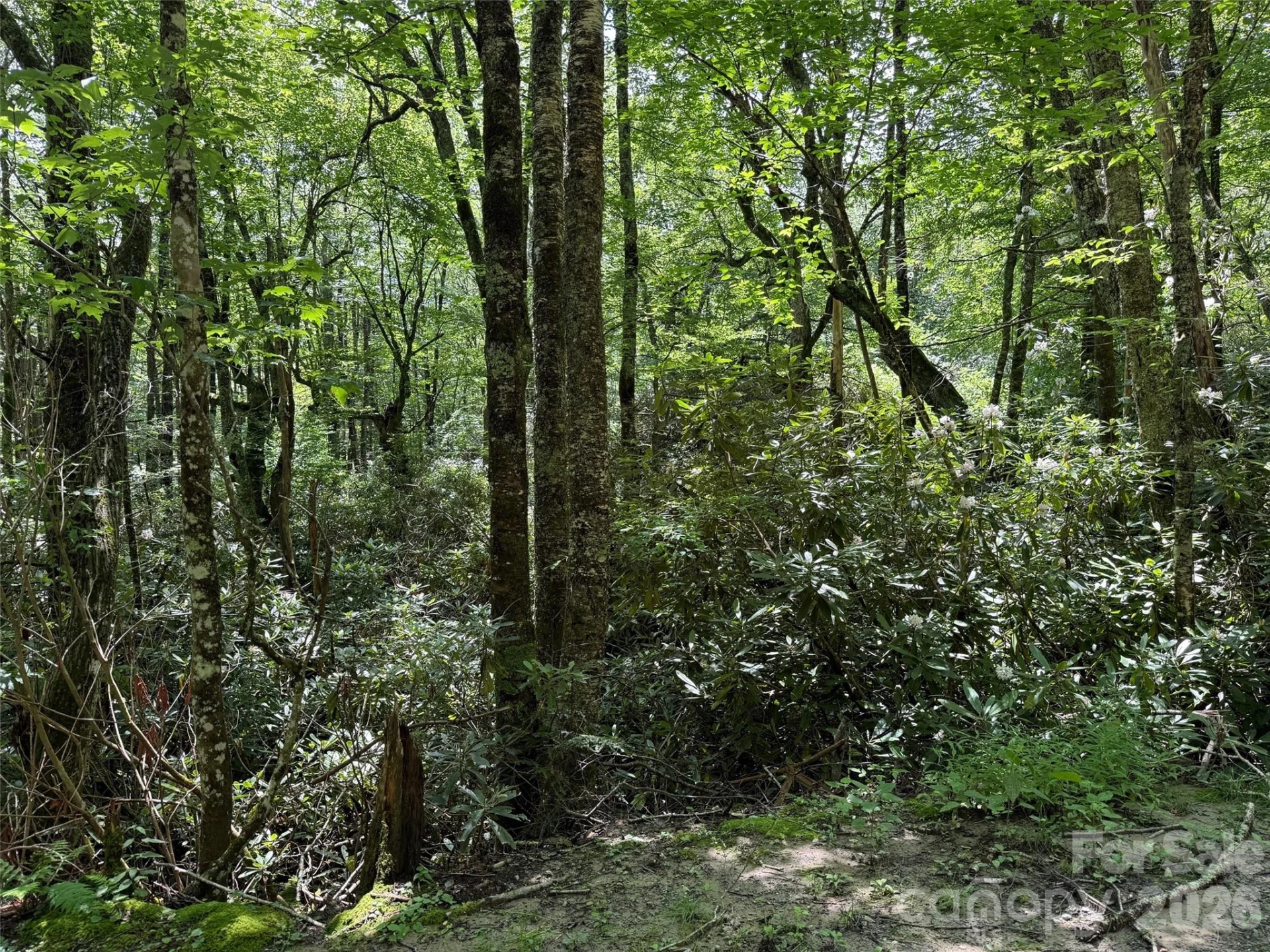 Lot #60 Yonder Trail - Photo 14