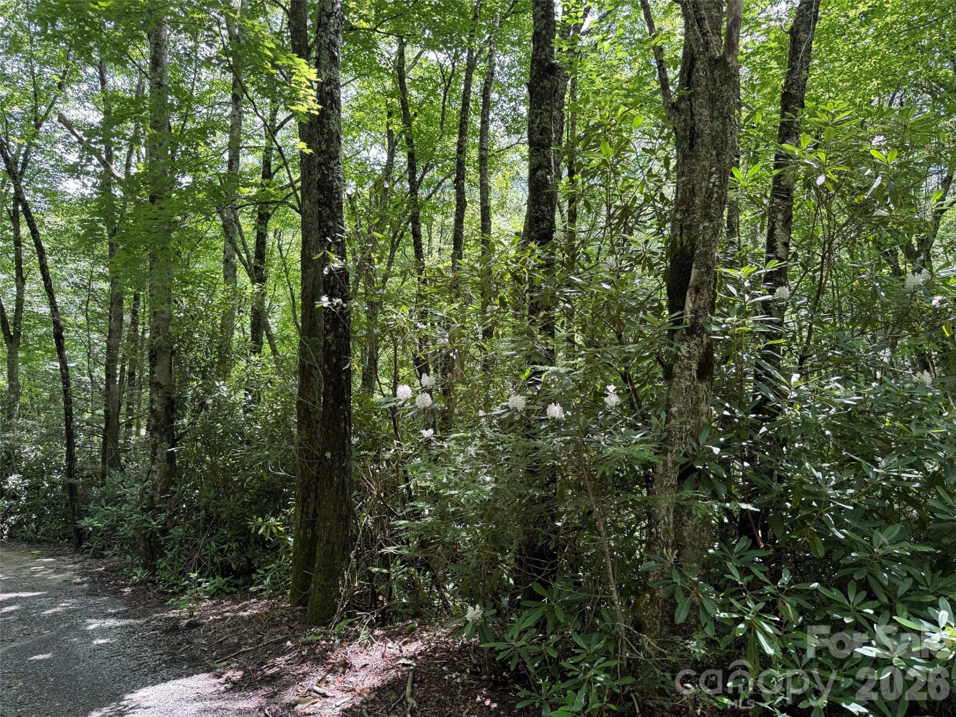 Lot #60 Yonder Trail - Photo 16