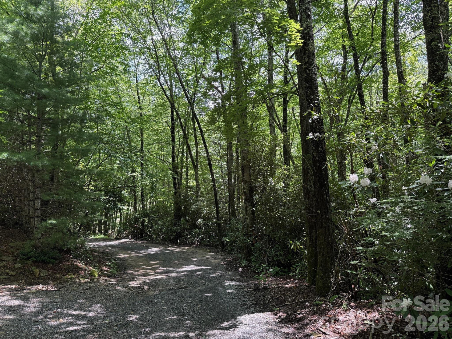 Lot #60 Yonder Trail - Photo 4