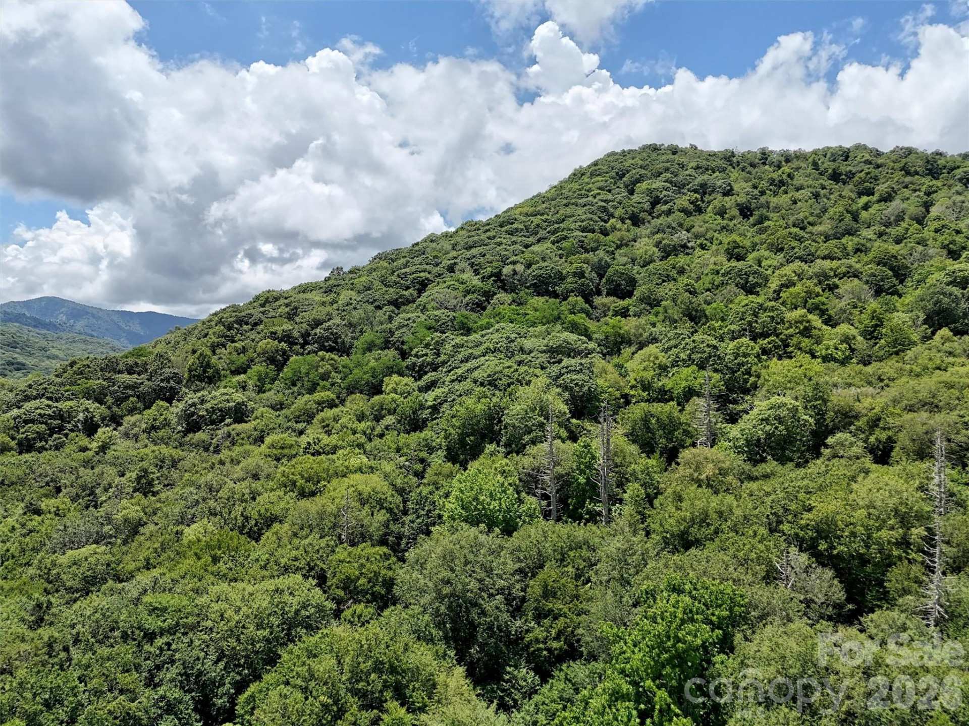 Lot #60 Yonder Trail - Photo 6