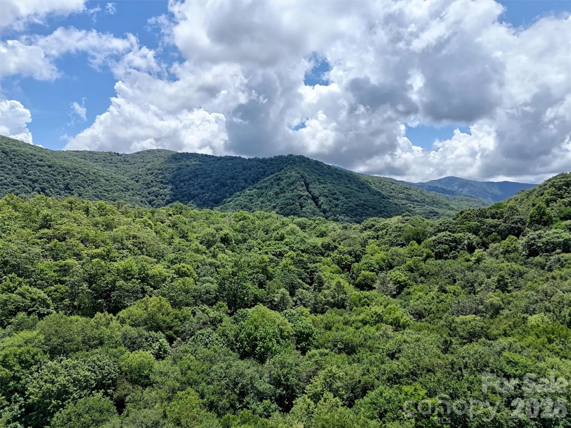 Lot #60 Yonder Trail - Photo 7