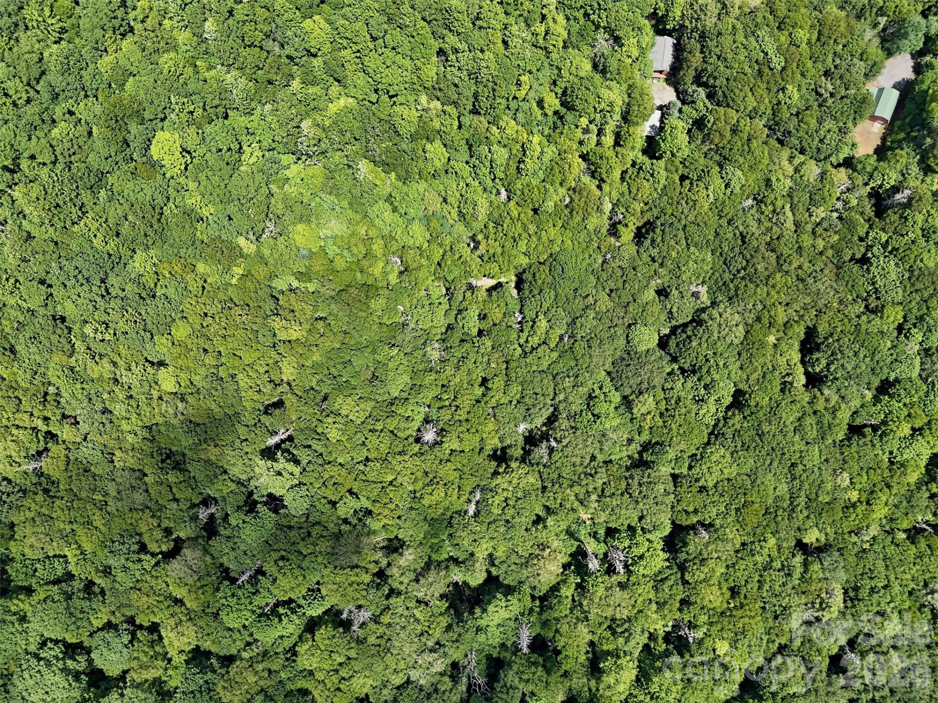 Lot #60 Yonder Trail - Photo 8