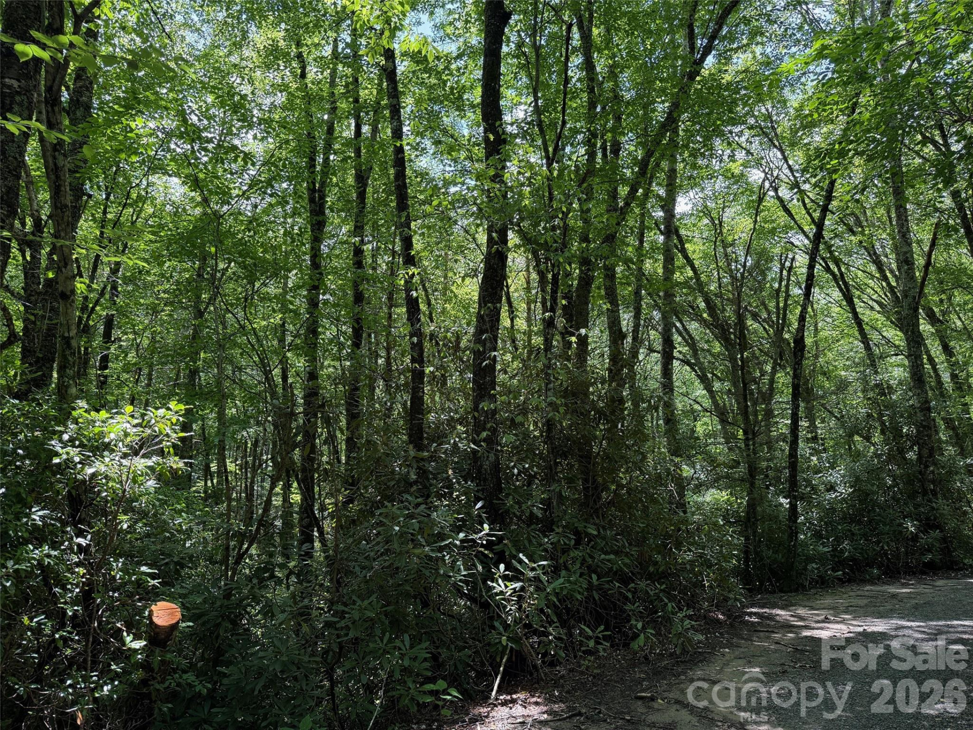 Lot #60 Yonder Trail - Photo 10