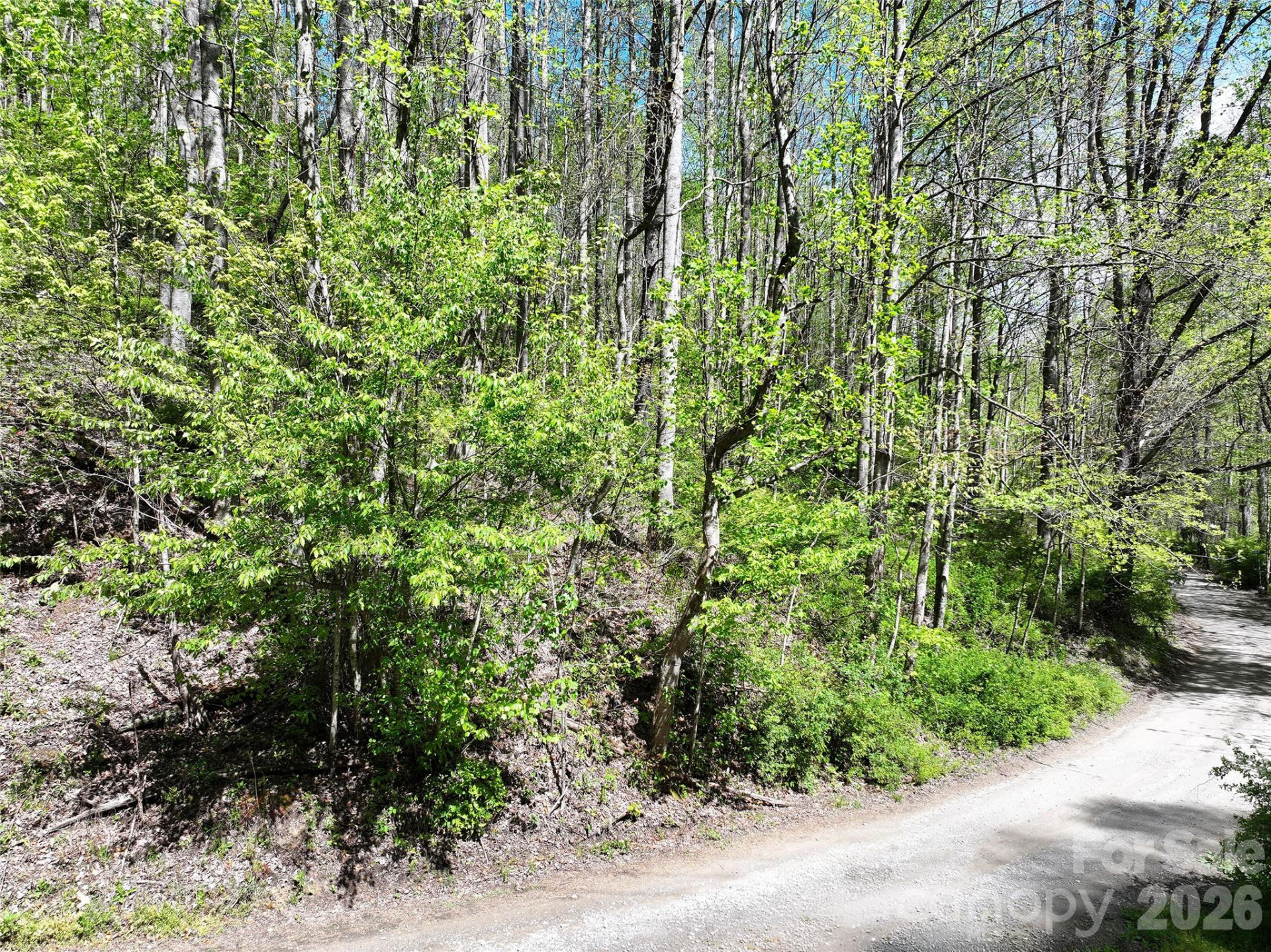 00 Hanks Road - Photo 3