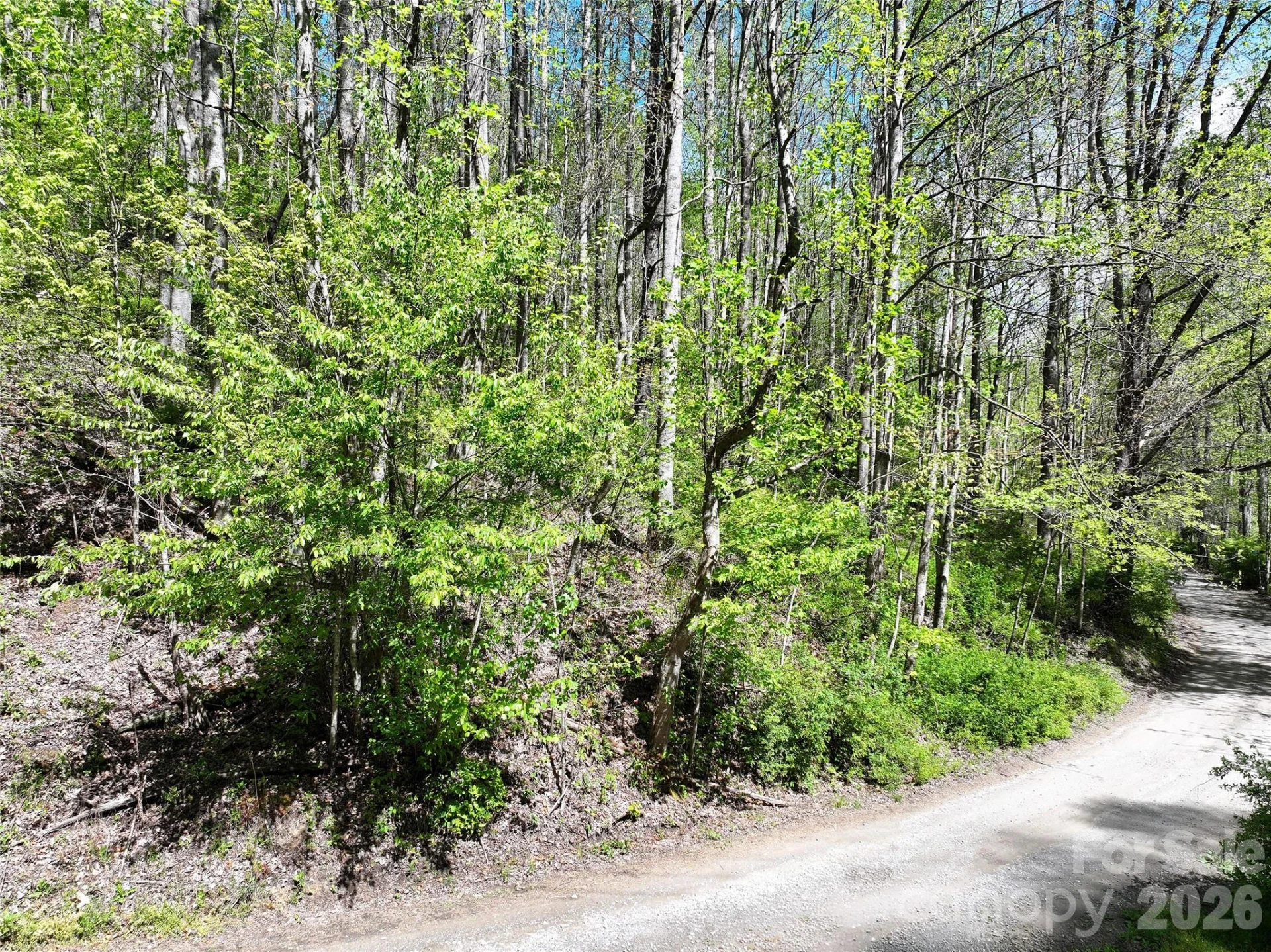 00 Hanks Road - Photo 3
