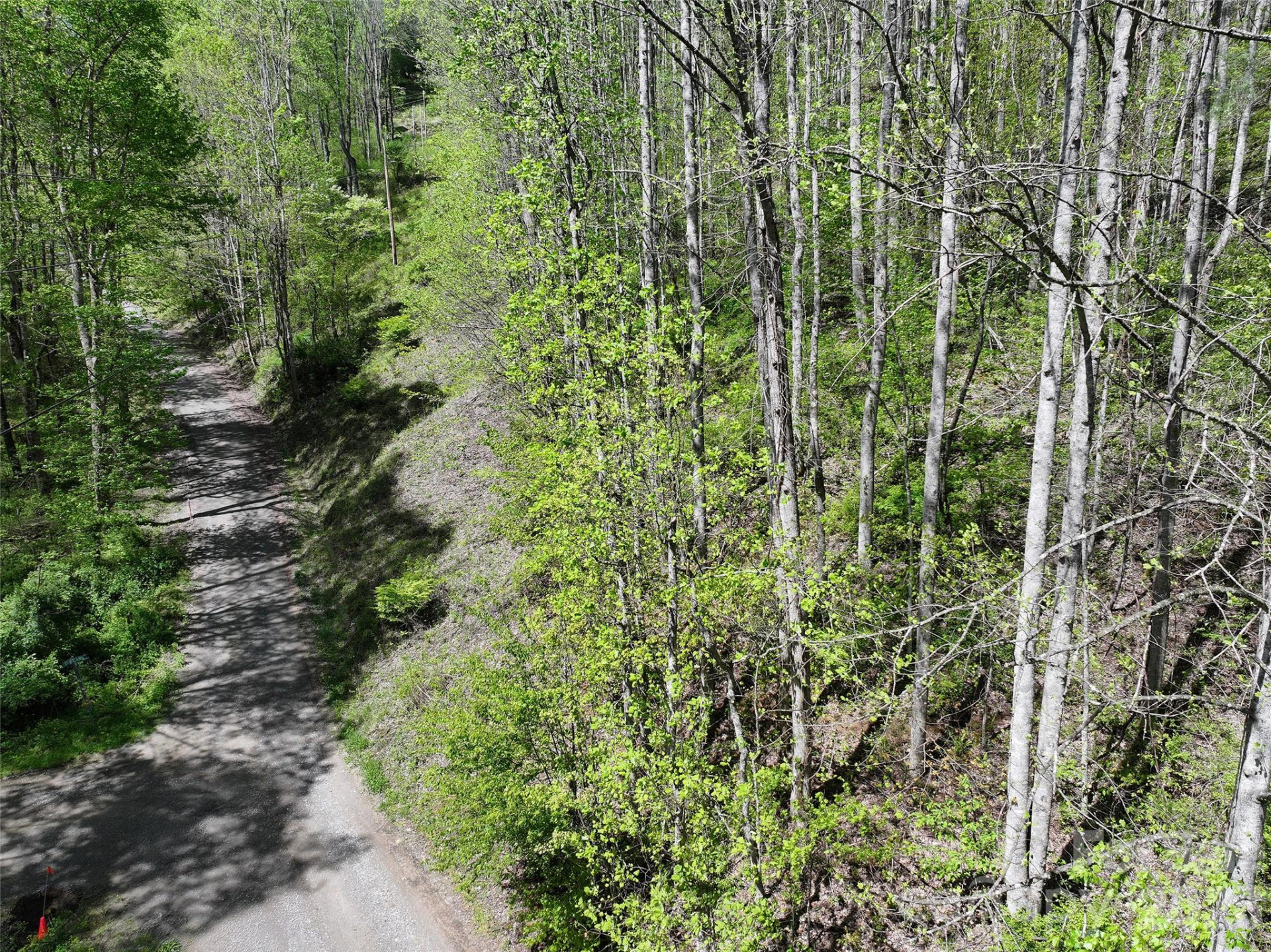 00 Hanks Road - Photo 6