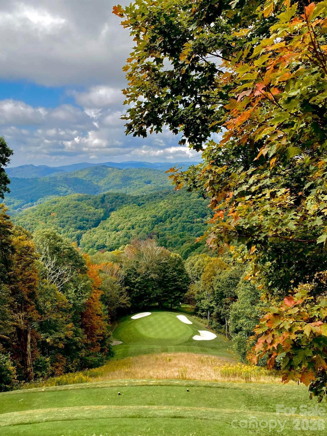 302 Eagles Nest Court - Photo 25