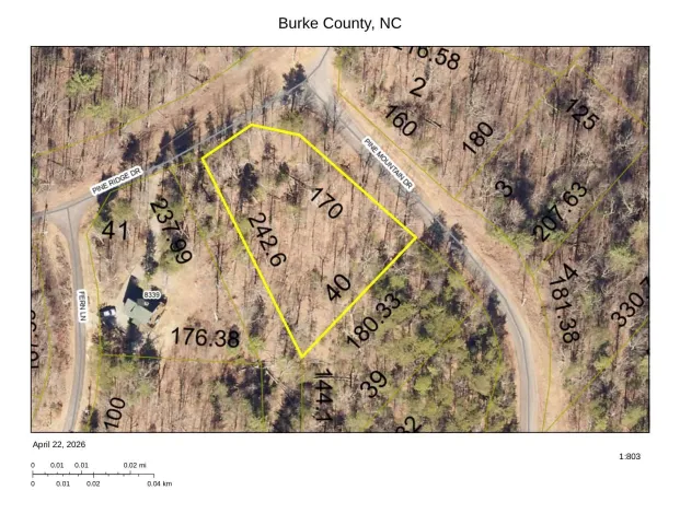 1034 Pine Mountain Drive, Connelly Springs, NC, 28612