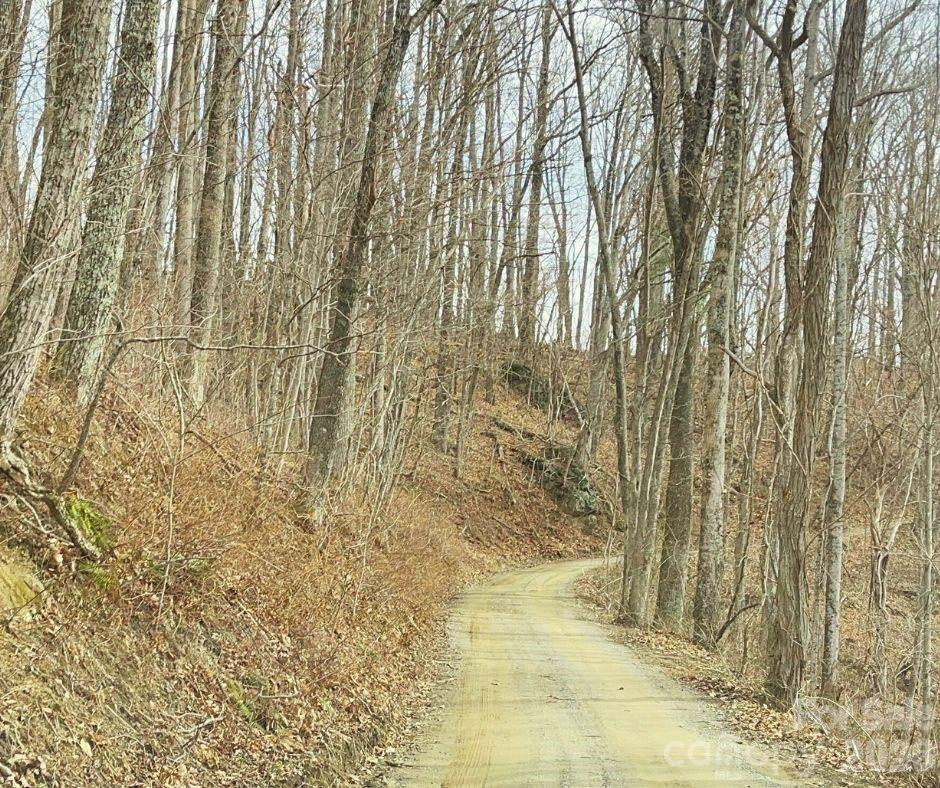 125 Gavin Glen Road - Photo 4