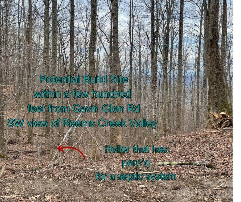 125 Gavin Glen Road - Photo 5