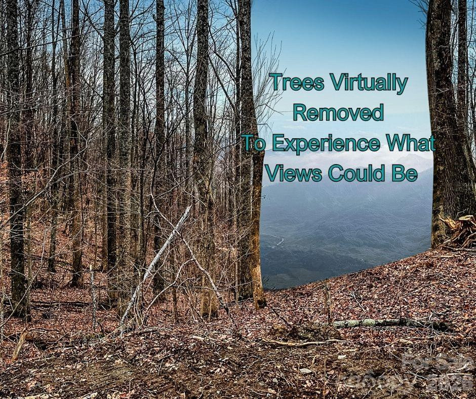 125 Gavin Glen Road - Photo 7