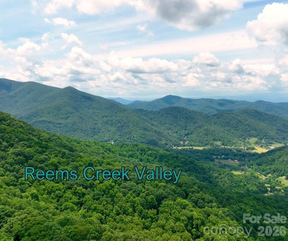 125 Gavin Glen Road - Photo 8