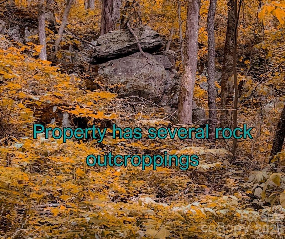 125 Gavin Glen Road - Photo 9