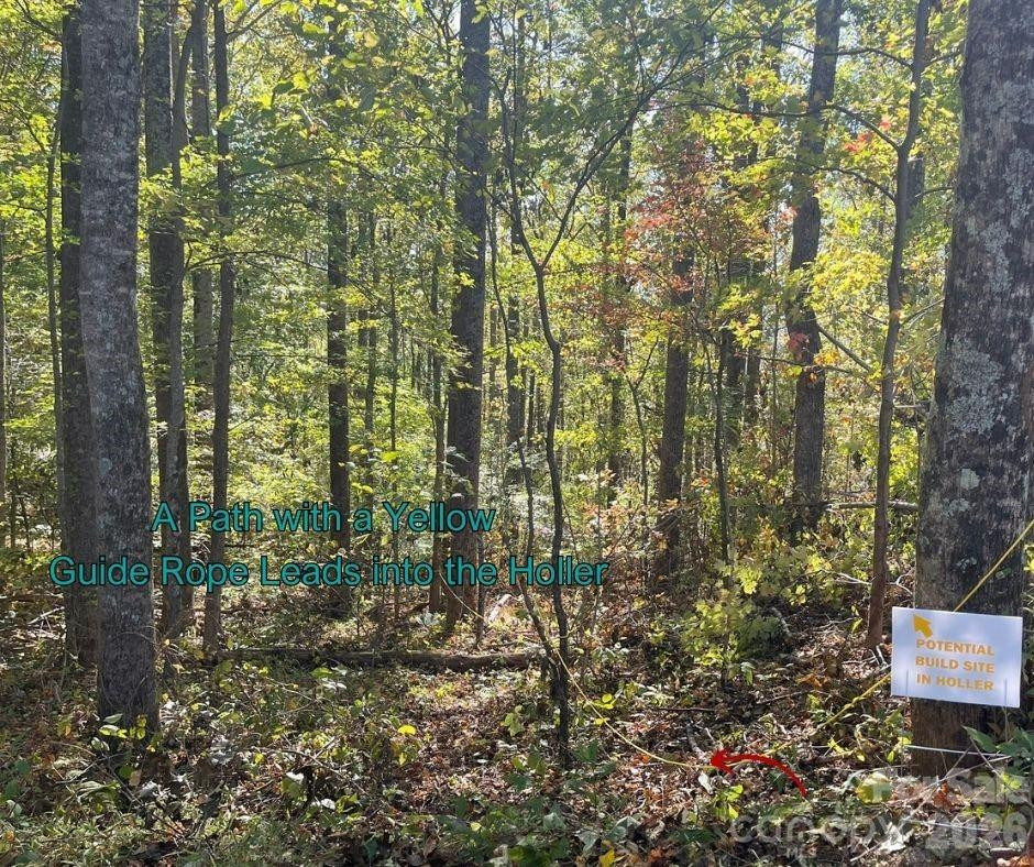 125 Gavin Glen Road - Photo 10