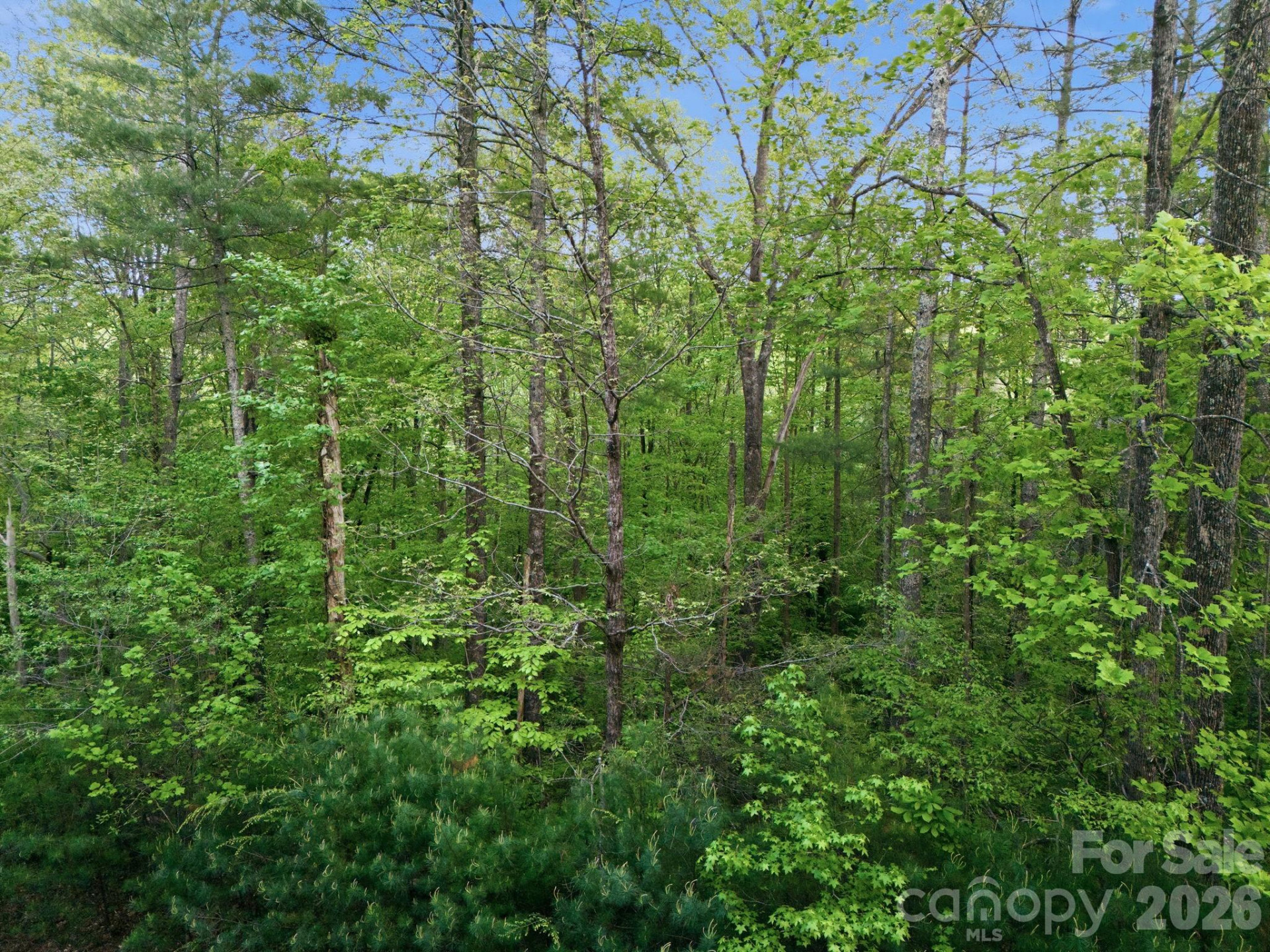 Lot 40 Larkhaven Drive - Photo 14